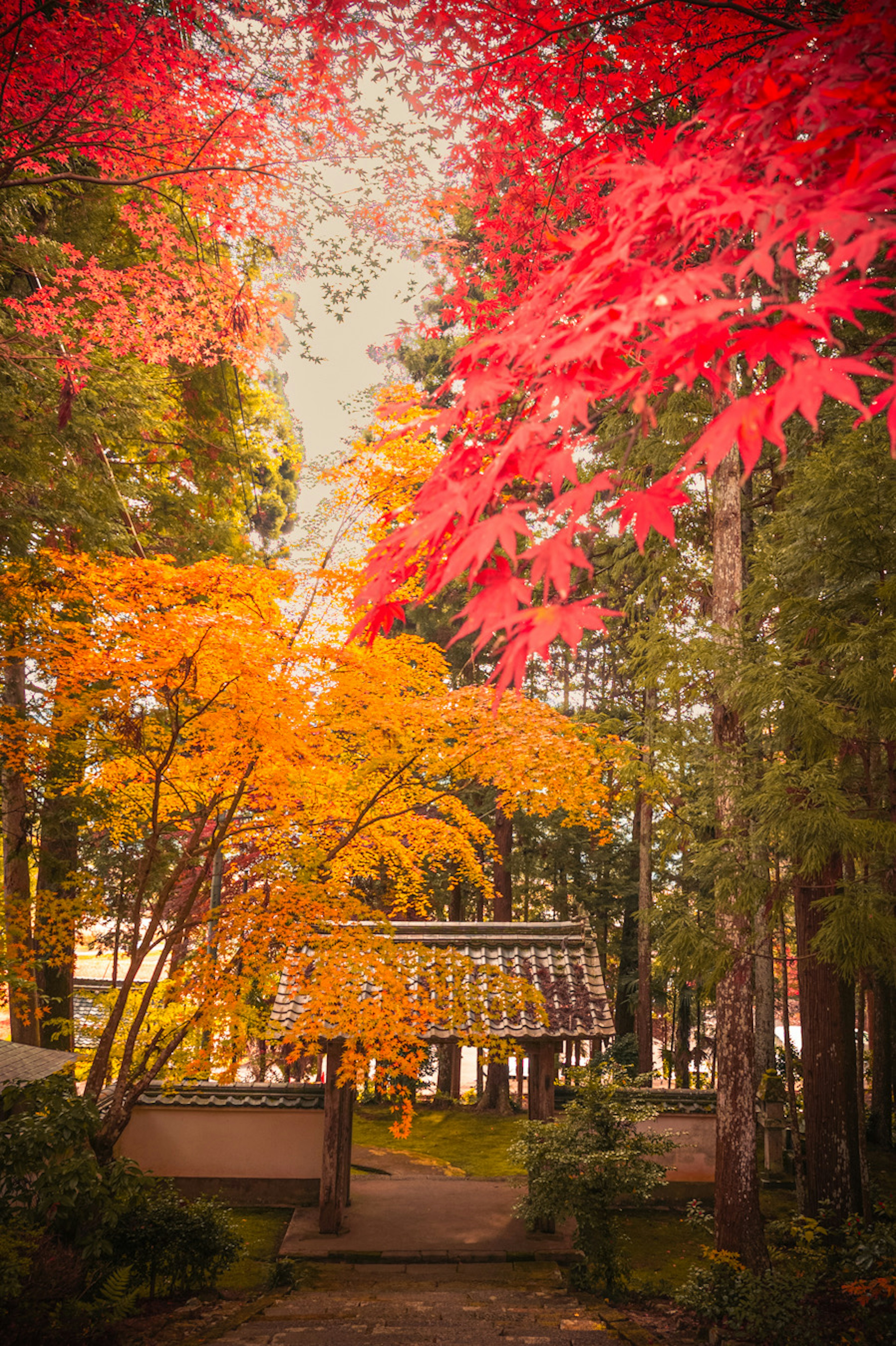 Malersicher Blick auf einen japanischen Tempel umgeben von lebhaftem Herbstlaub