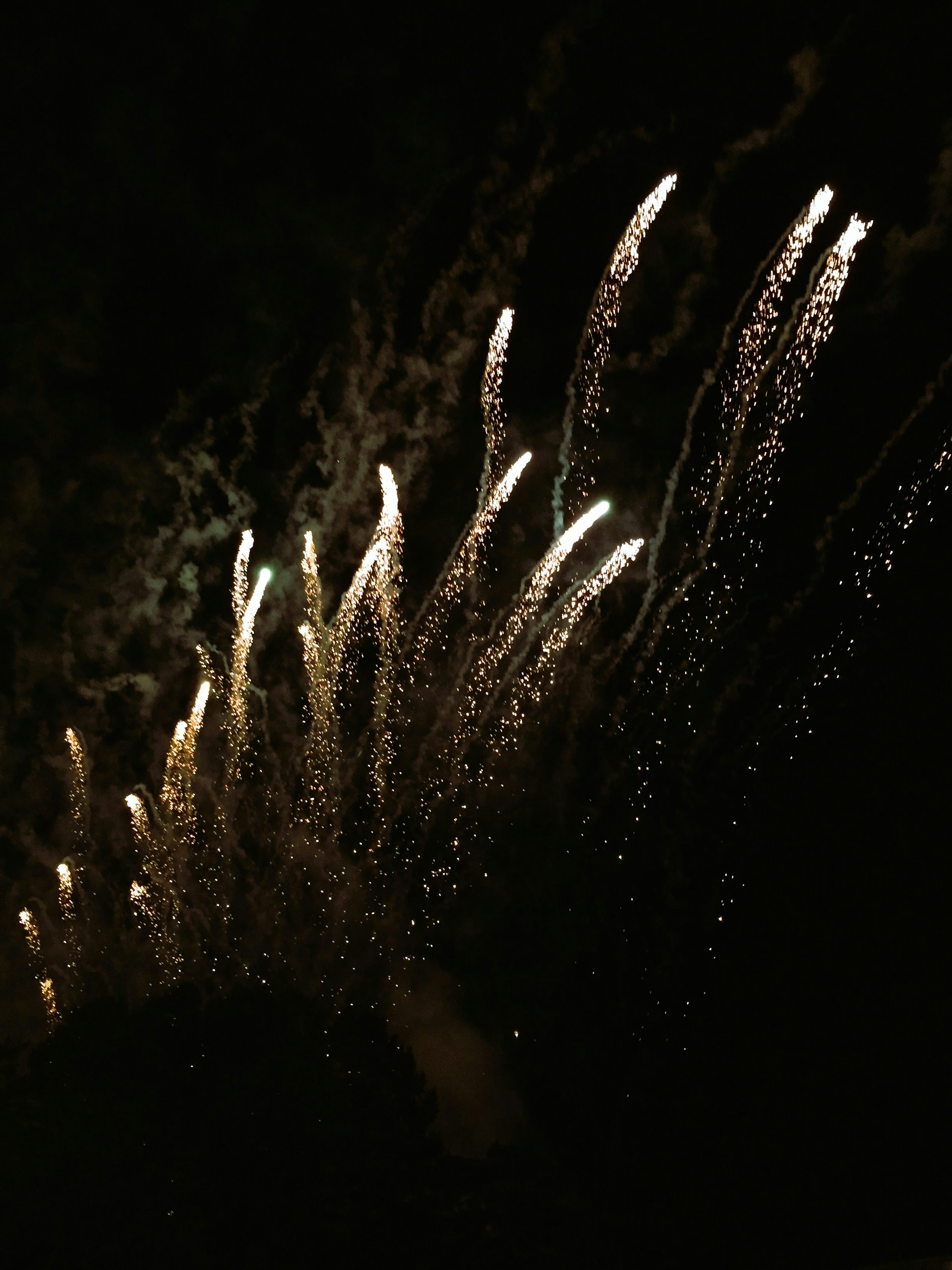 夜空に輝く花火の光の線