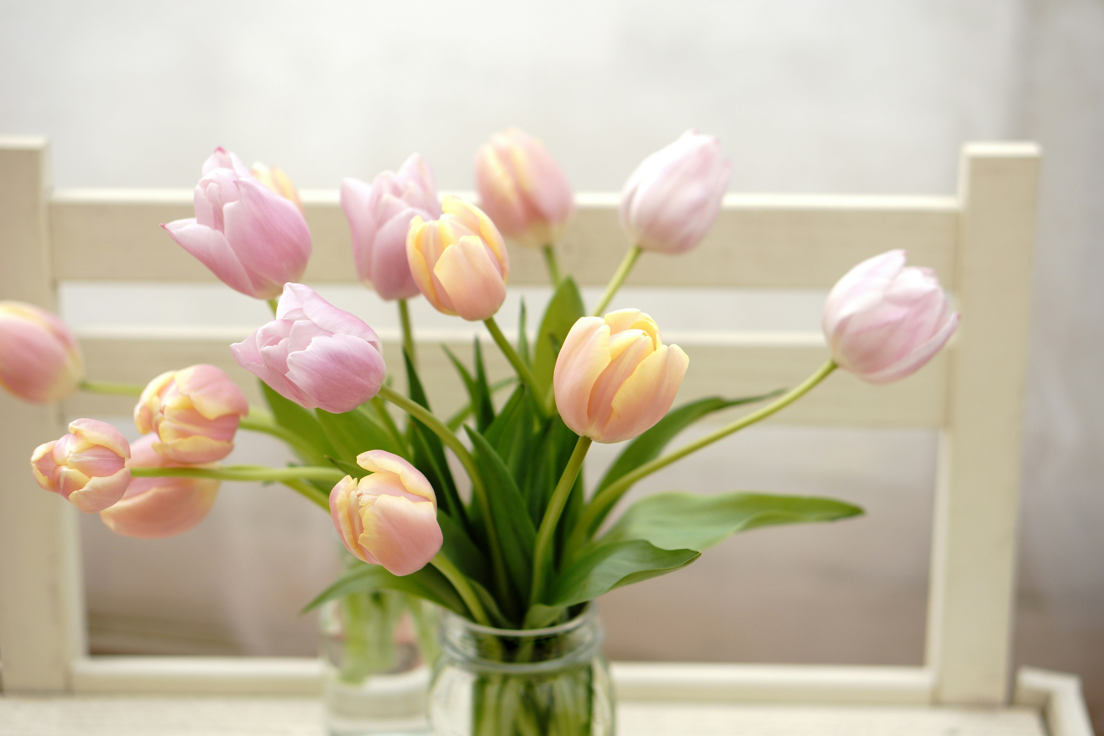 Un mazzo di tulipani rosa e crema in un vaso trasparente