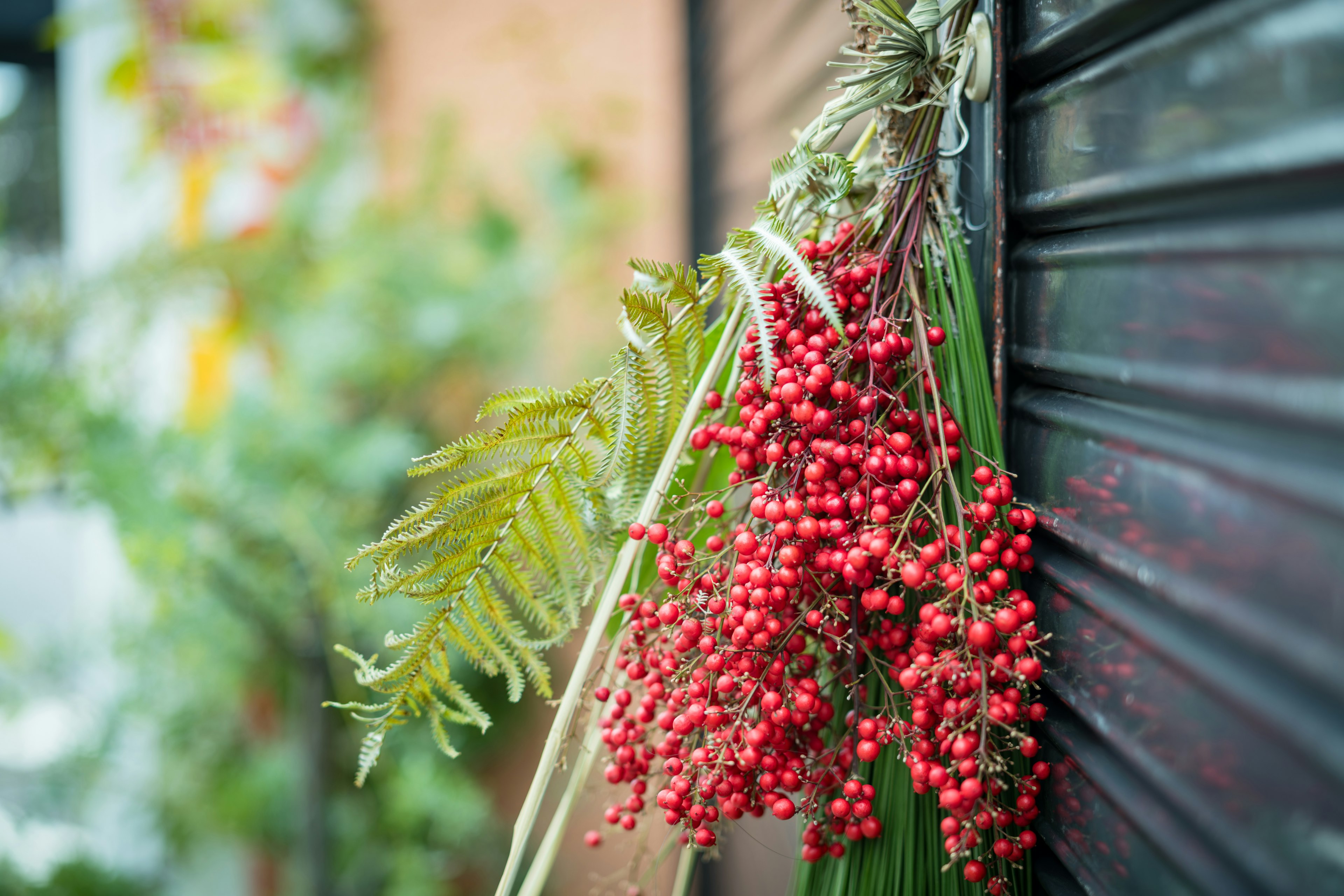 Ein Cluster aus roten Beeren und grünen Blättern, das gegen eine Wand hängt