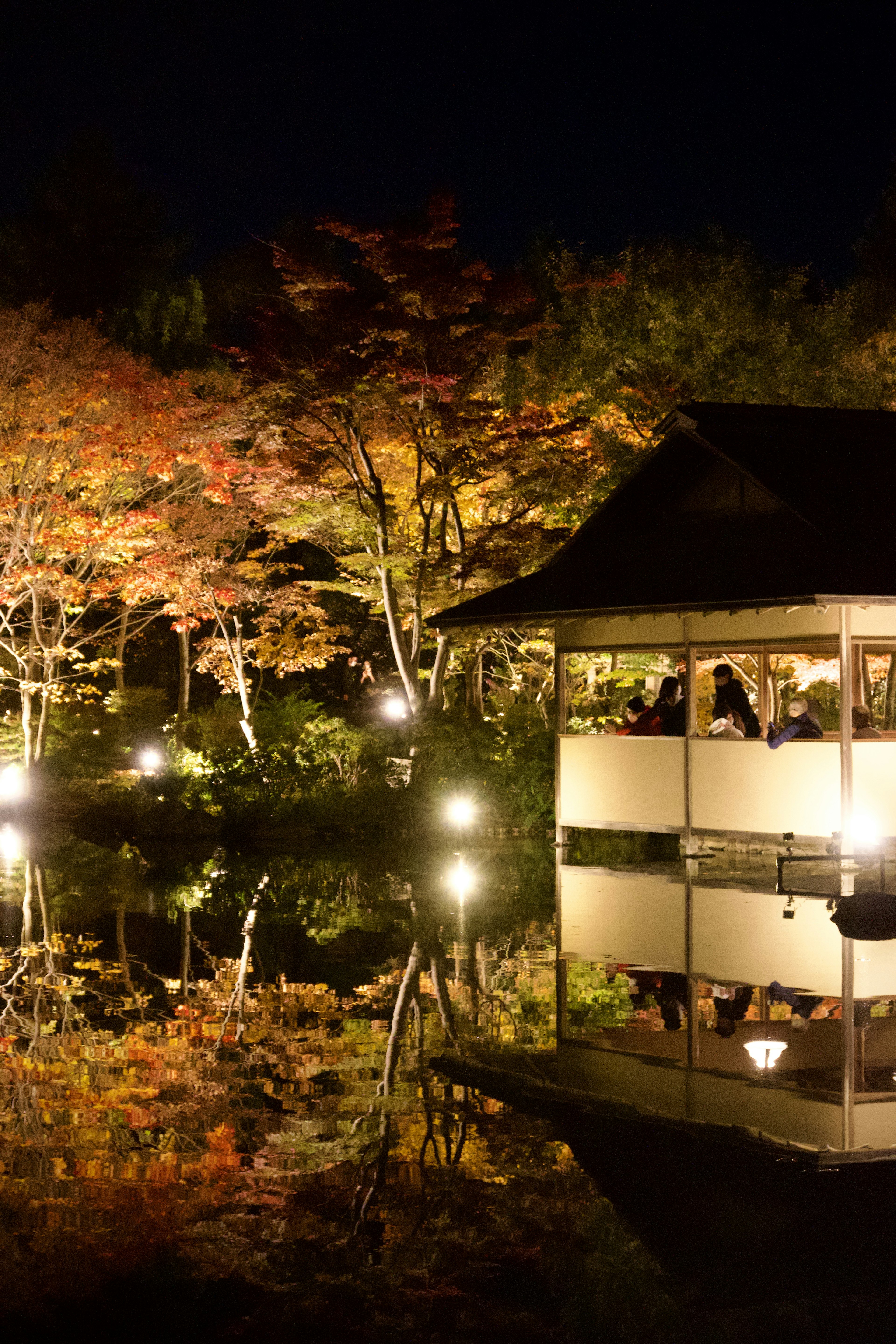 Schöne Landschaft mit Herbstblättern und Teichreflexion bei Nacht