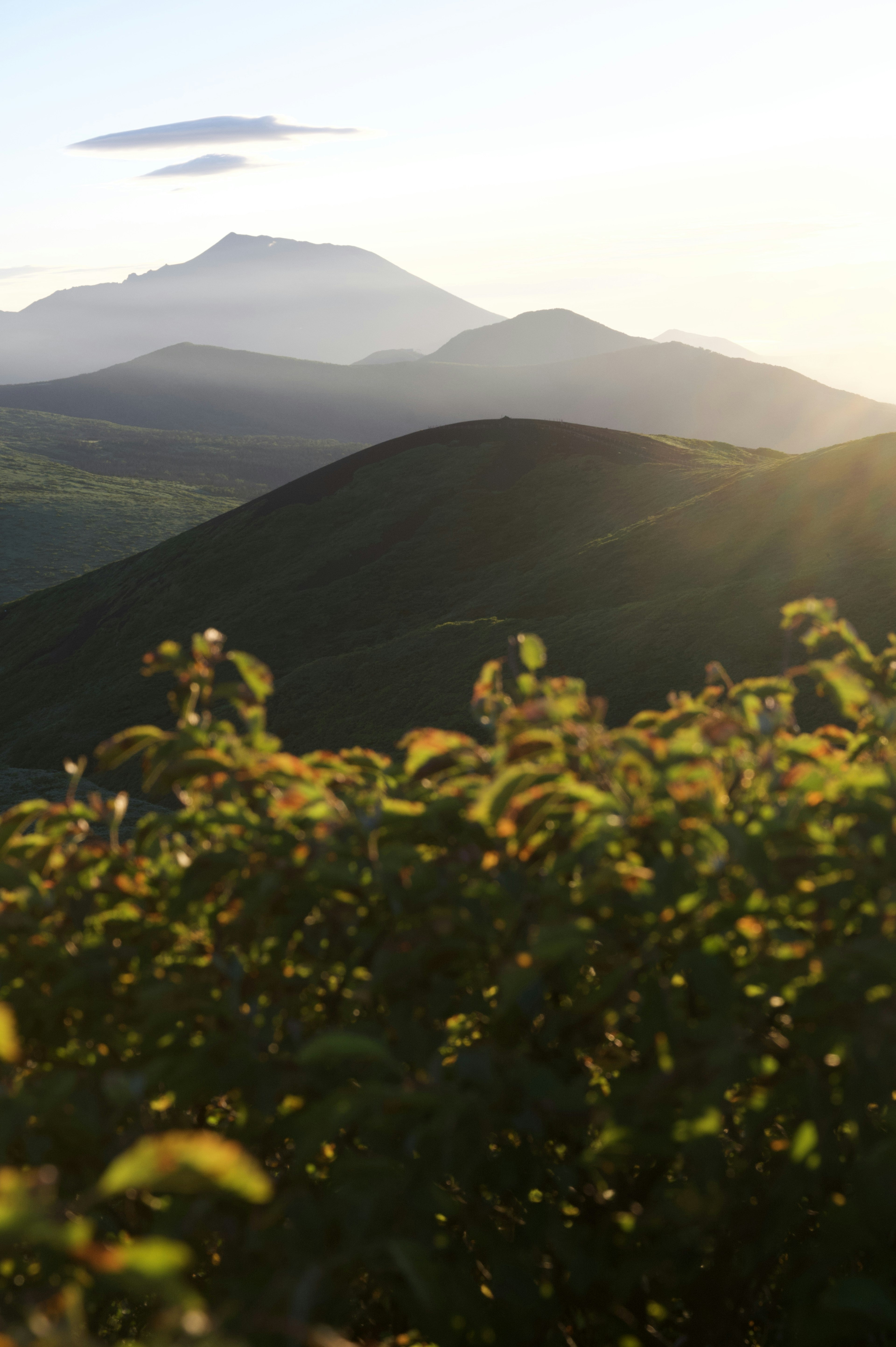 夕日が差し込む山々と緑の草原の風景