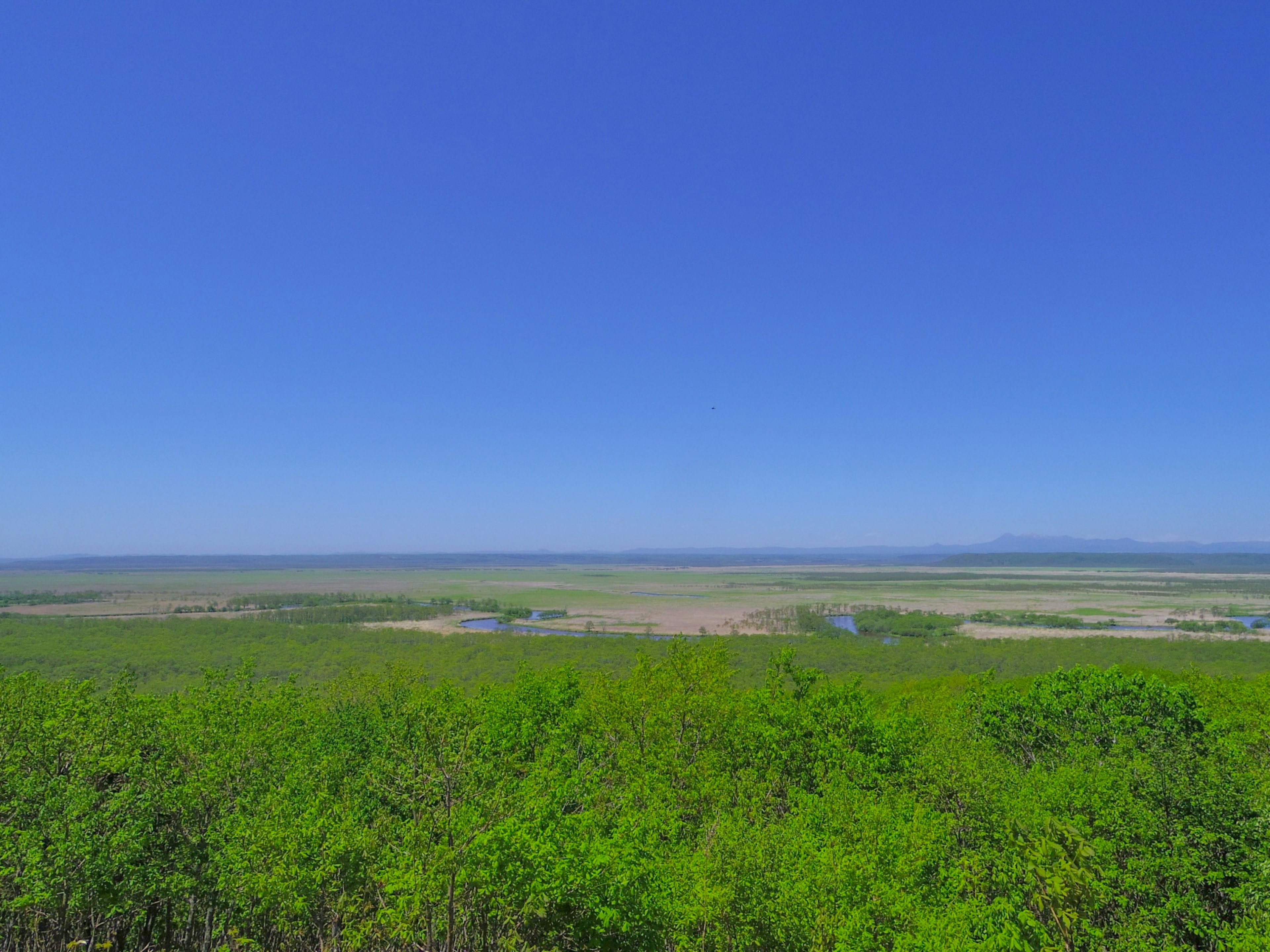 Weite grüne Landschaft unter einem klaren blauen Himmel