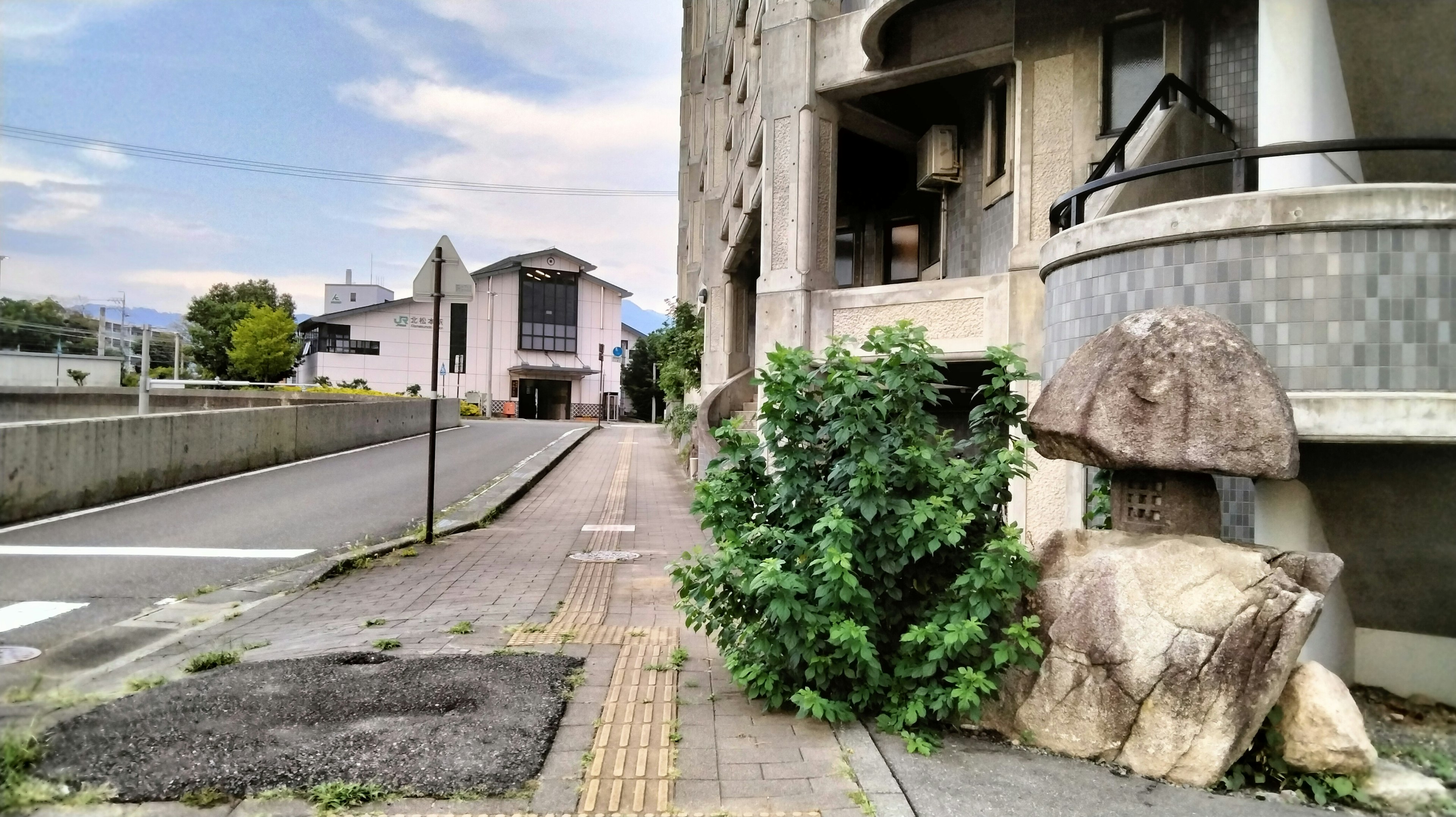 路边有大石头和绿色植物的风景