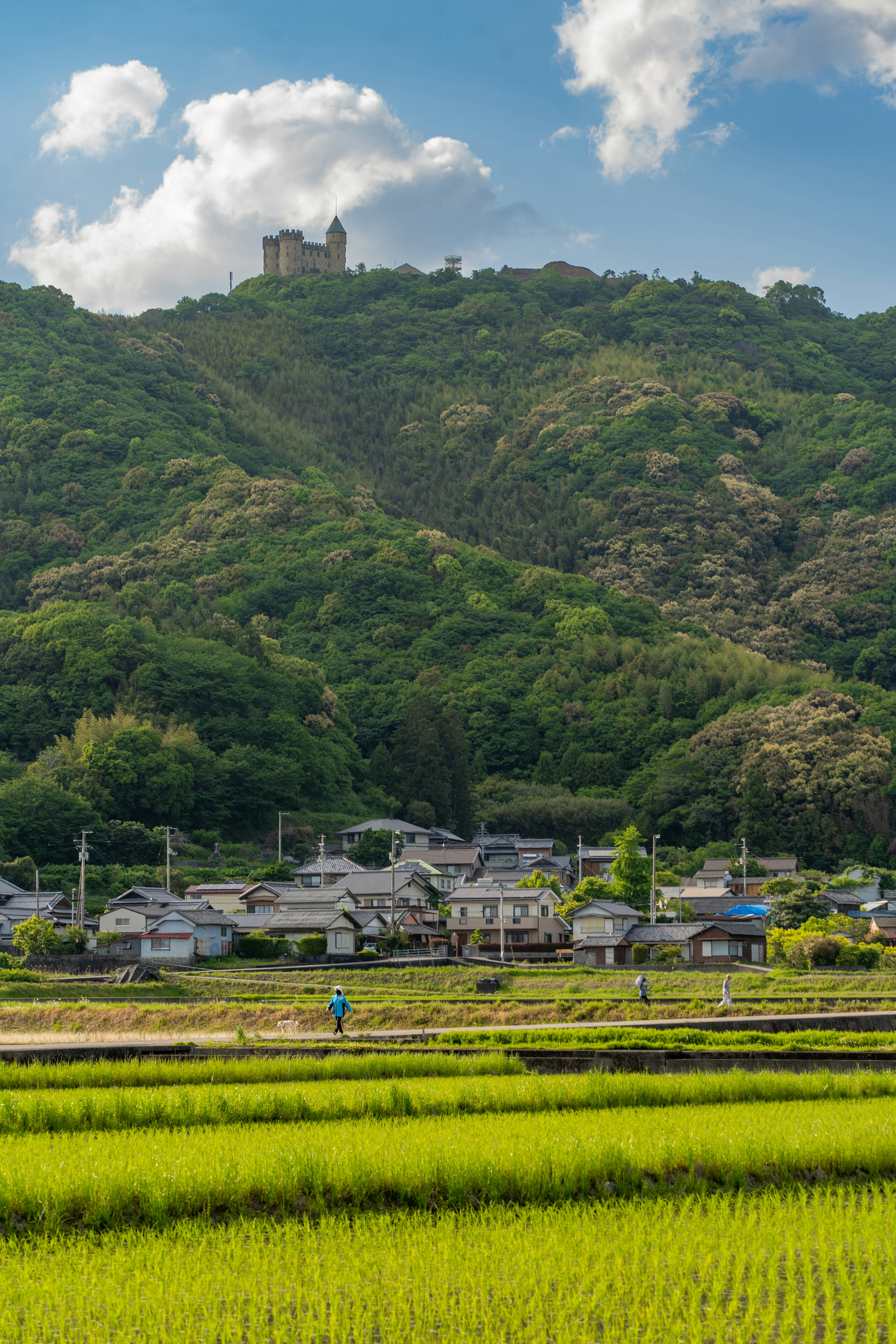 ทิวทัศน์สวยงามของหมู่บ้านเล็กๆ ที่มีทุ่งข้าวเขียวและภูเขาล้อมรอบ