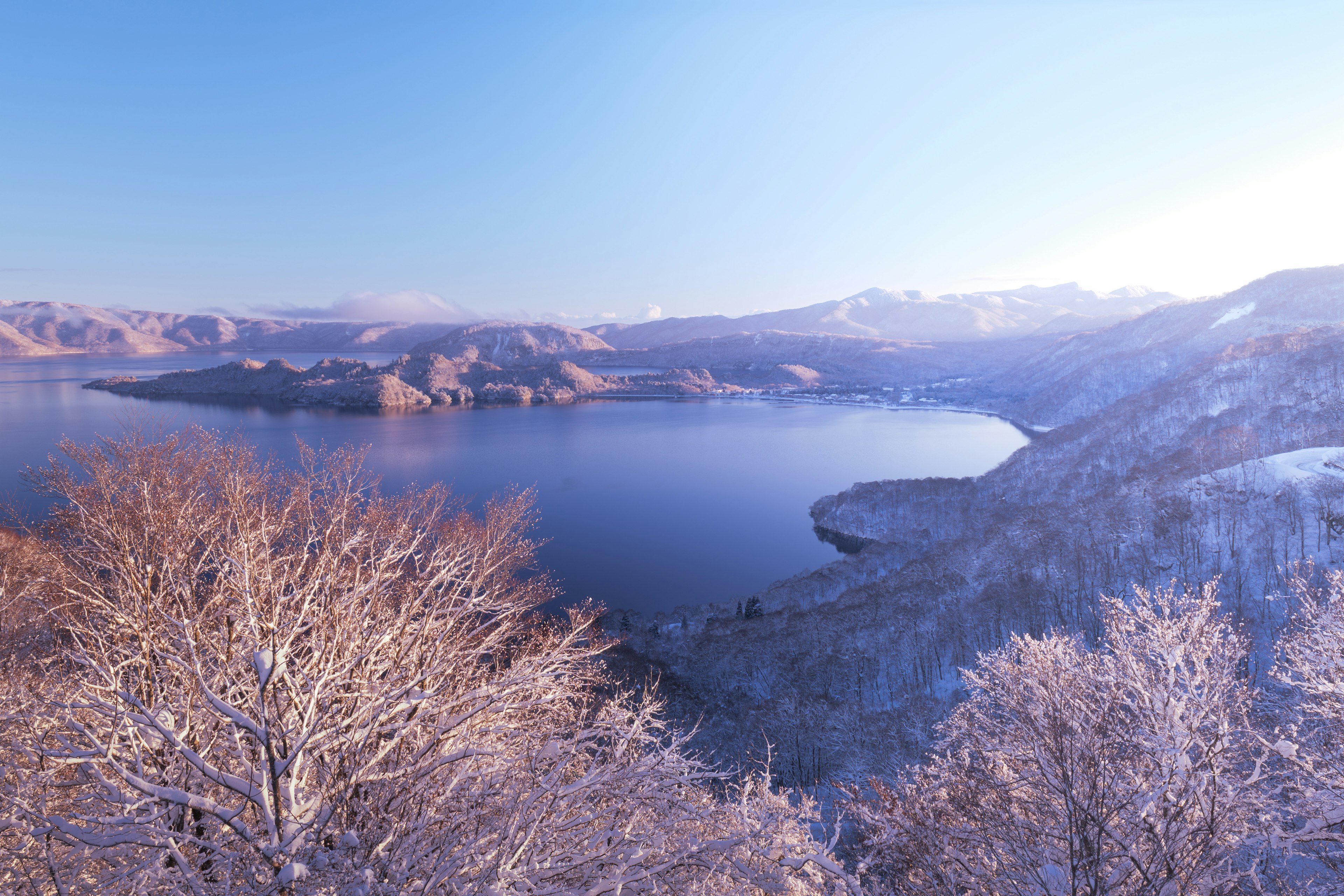 Schneebedeckte Bäume mit Blick auf einen ruhigen blauen See