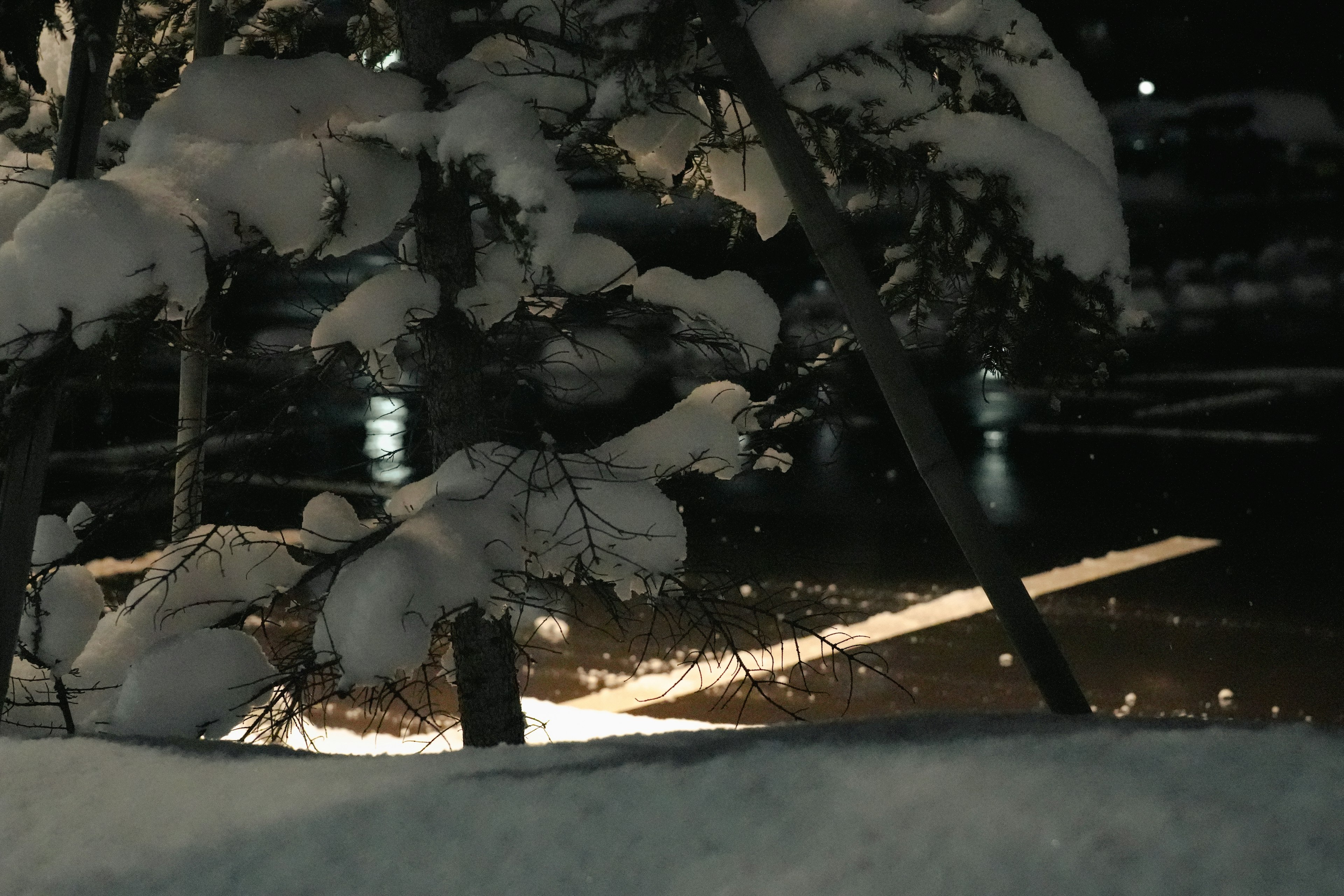 Ruhige Winterlandschaft mit schneebedeckten Bäumen und Reflexionen von Straßenlaternen bei Nacht