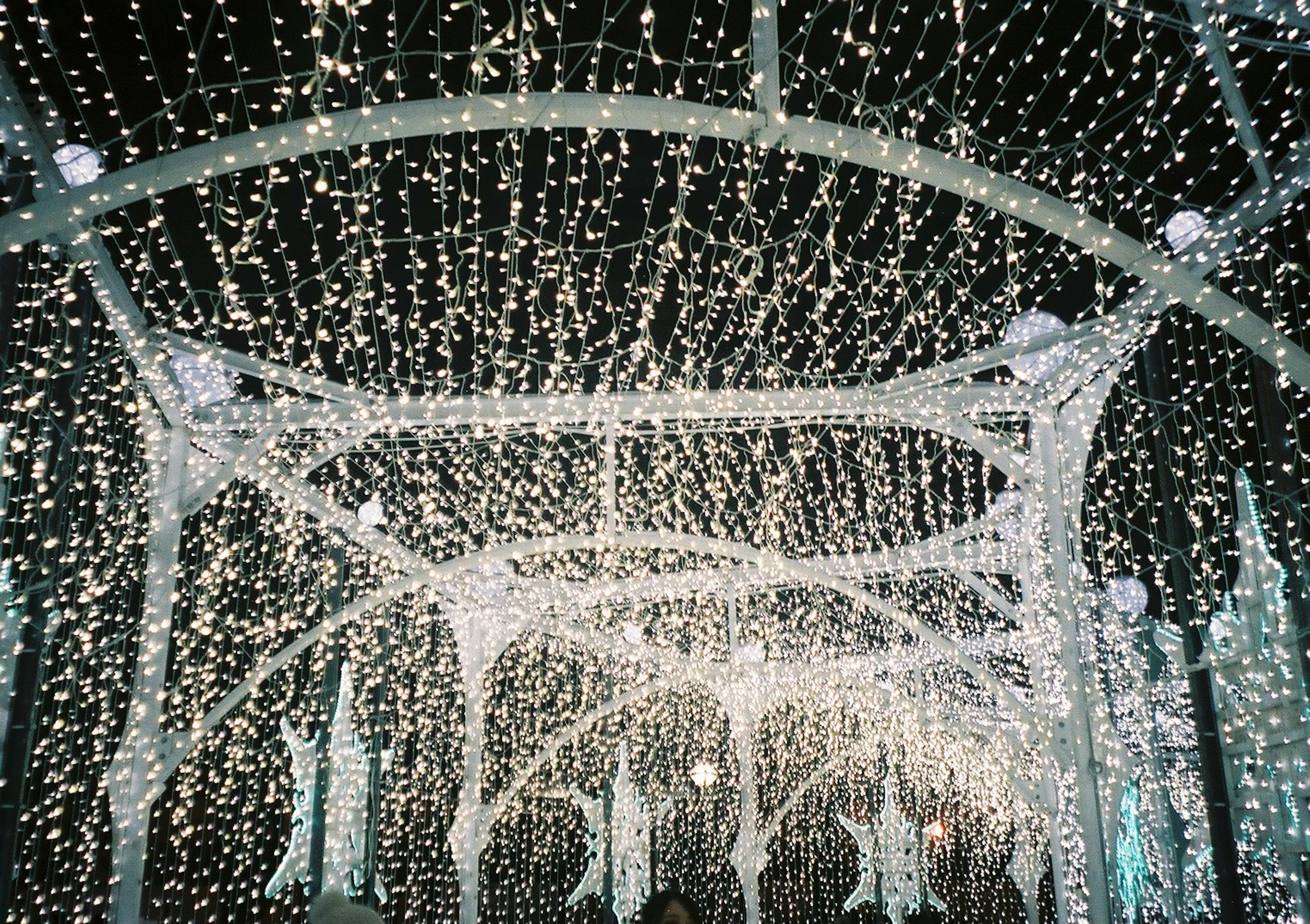 Une installation lumineuse décorative avec un rideau de lumières dans une structure en arc