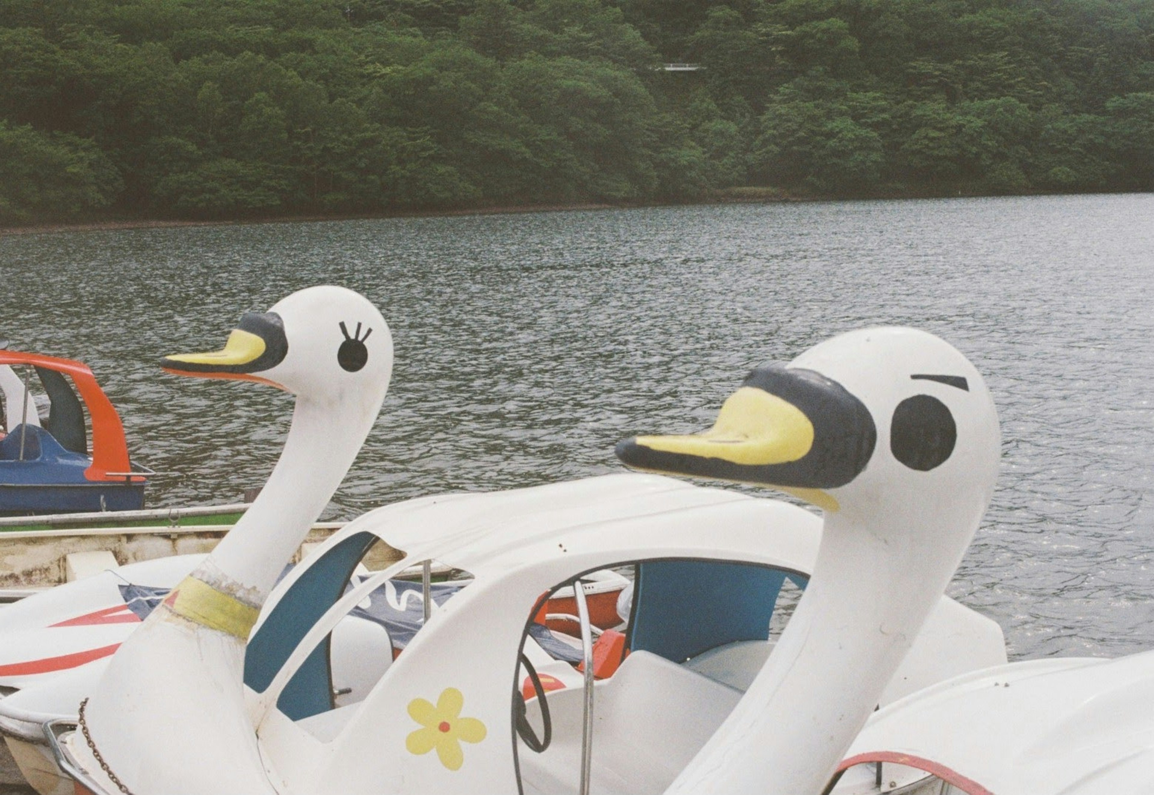 Two swan-shaped pedal boats docked by the lake with a scenic background