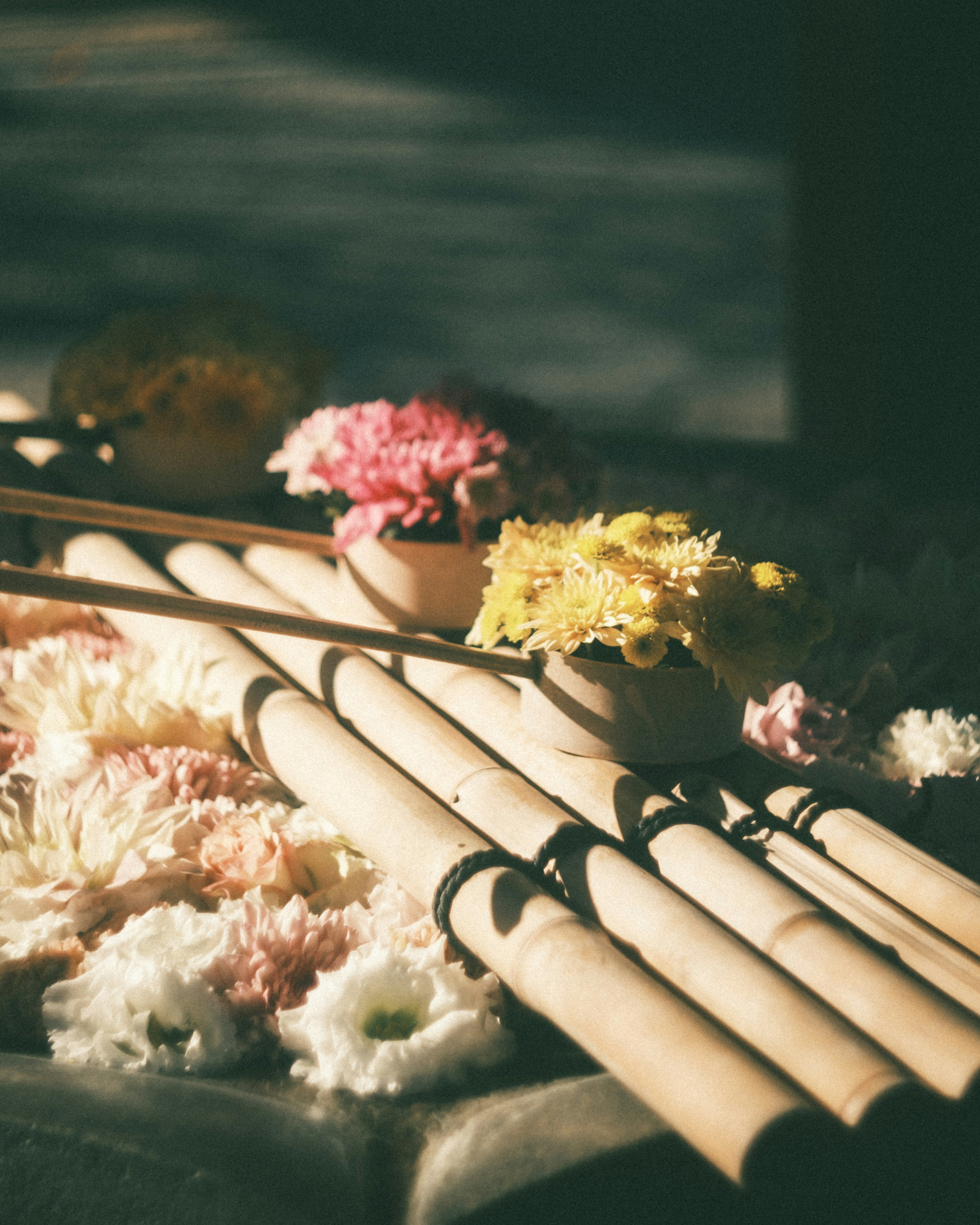 一个宁静的场景，展示竹棍和五颜六色的花朵