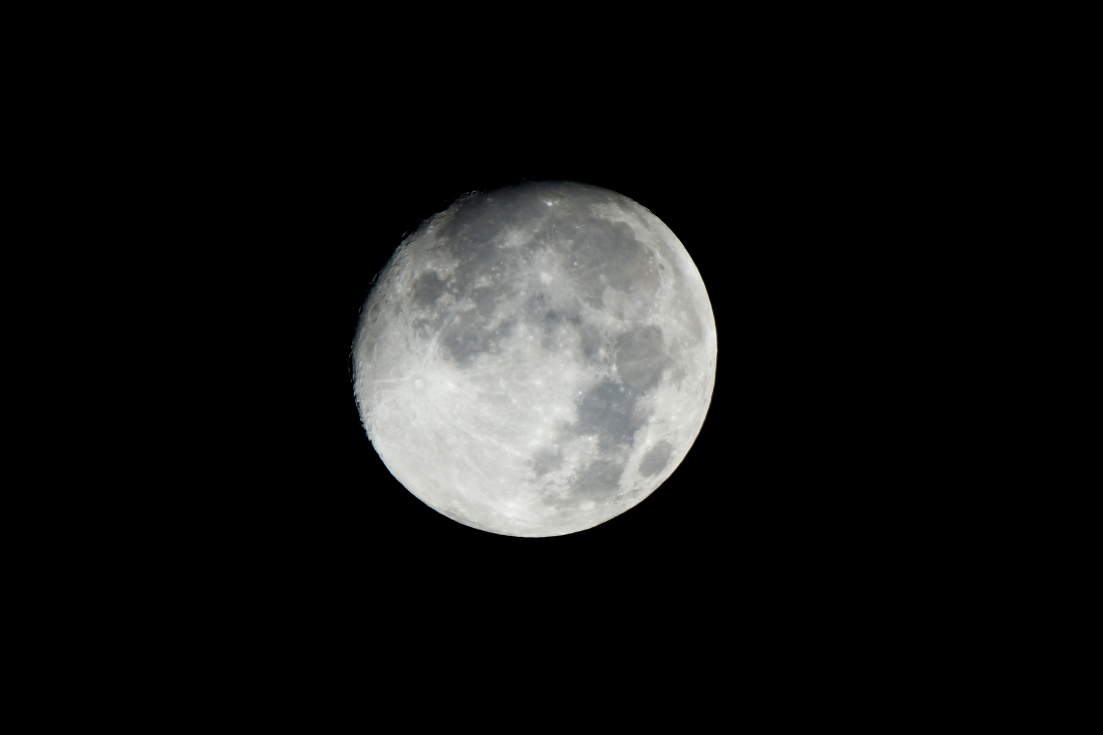 Ein schöner Vollmond, der in einem schwarzen Nachthimmel schwebt