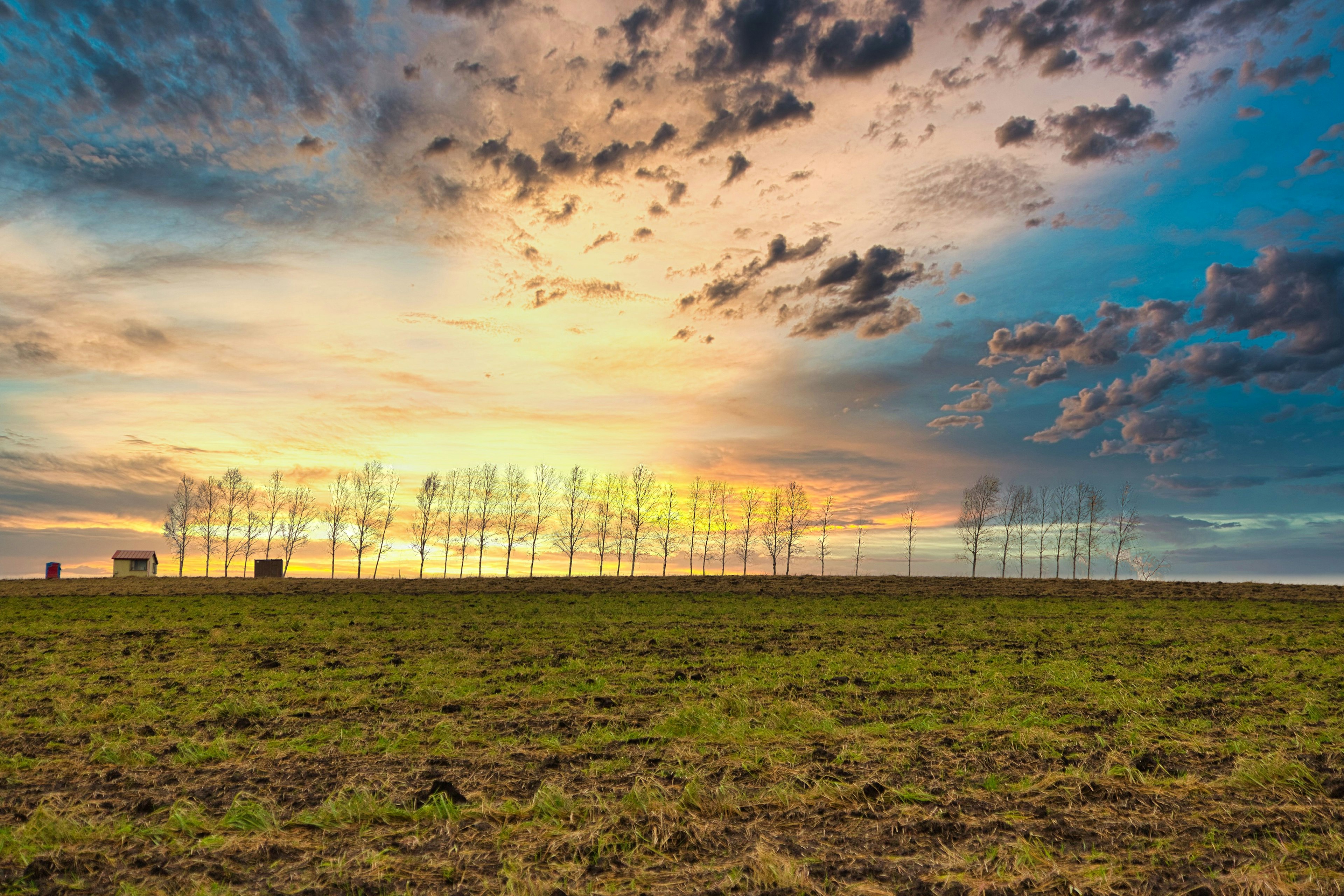 Ciel de coucher de soleil magnifique sur un vaste champ avec des arbres en arrière-plan