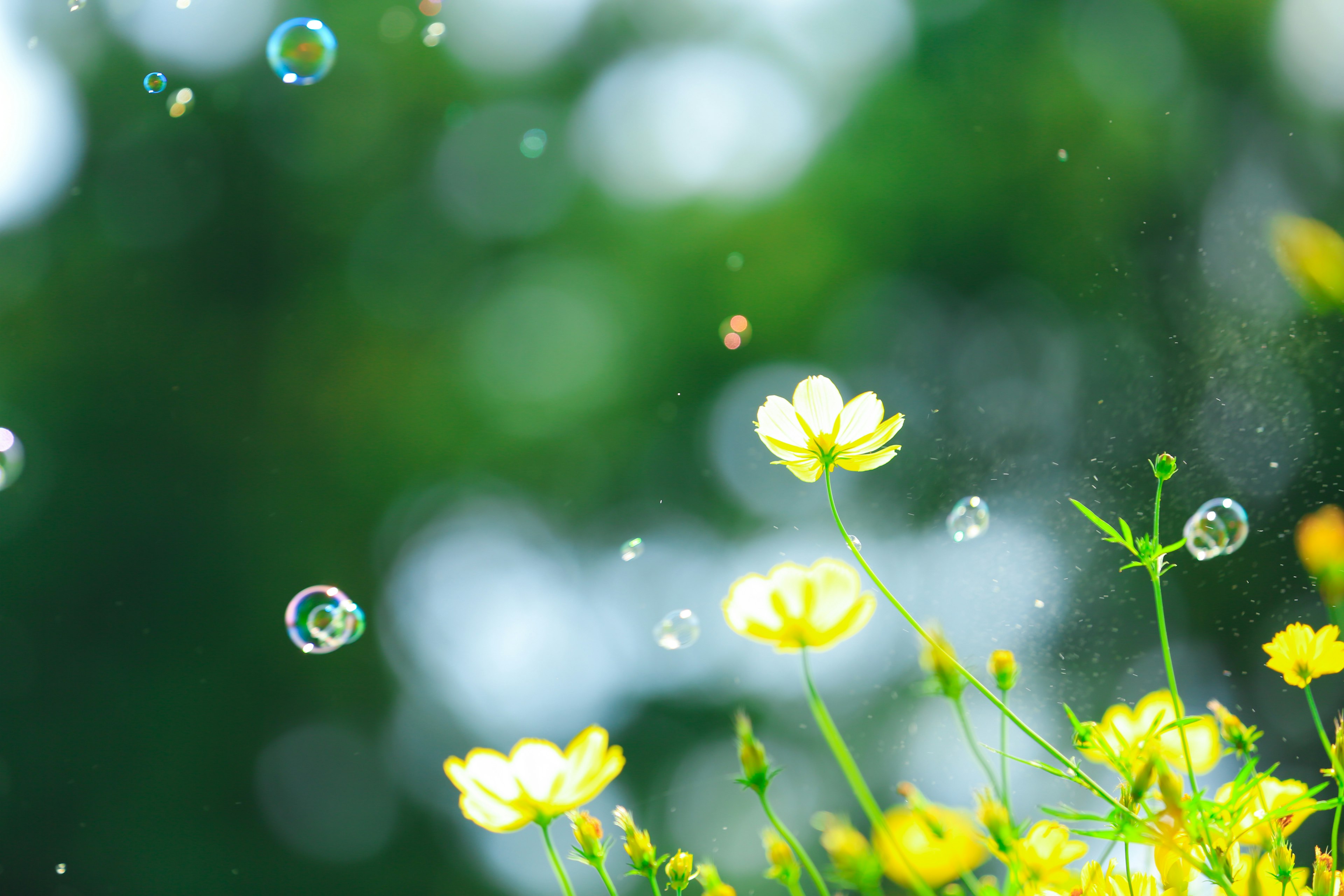 Hermosa escena con flores amarillas y burbujas flotantes