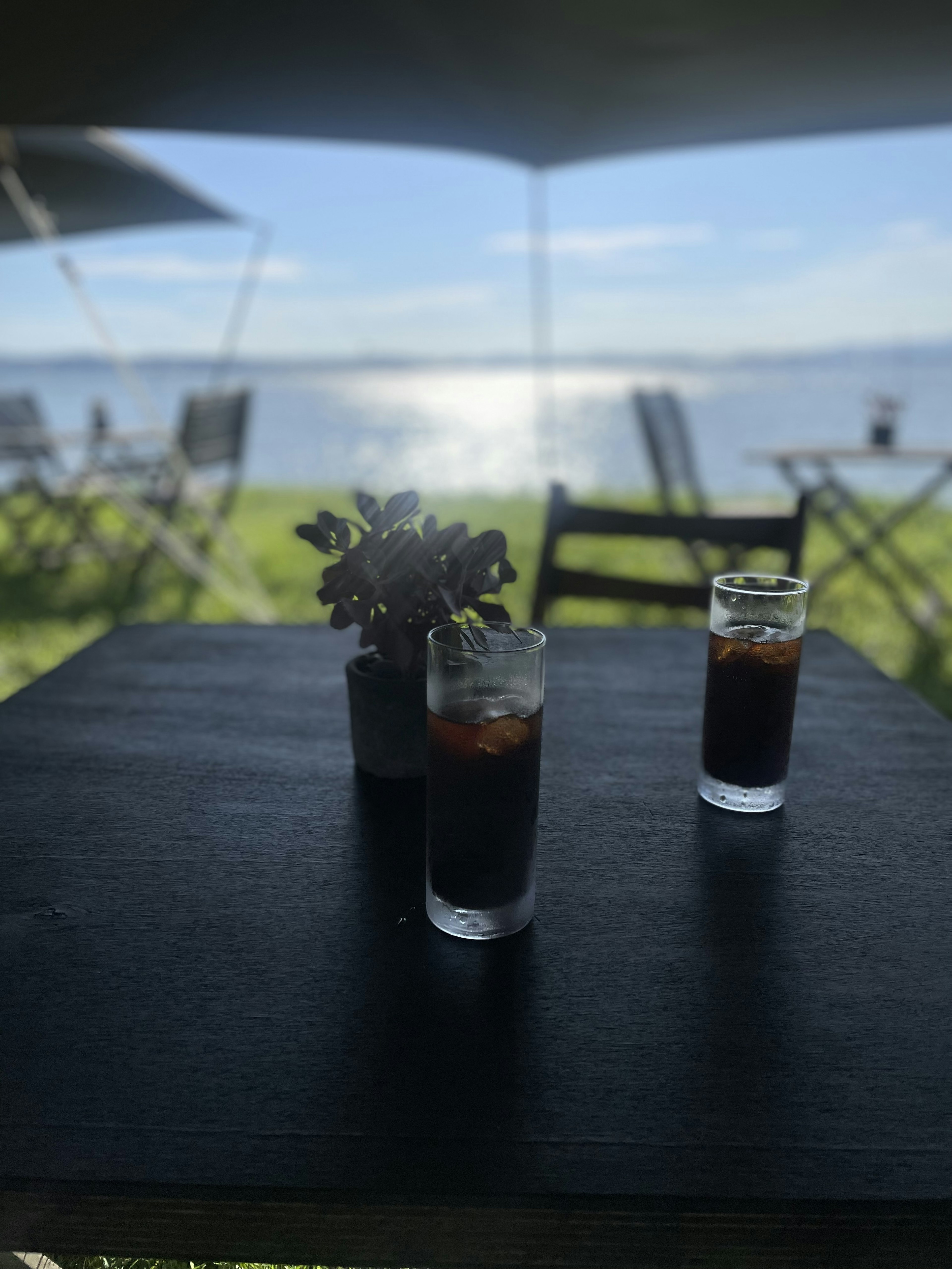 Two glasses of dark beverage on a table with a small plant overlooking a scenic view