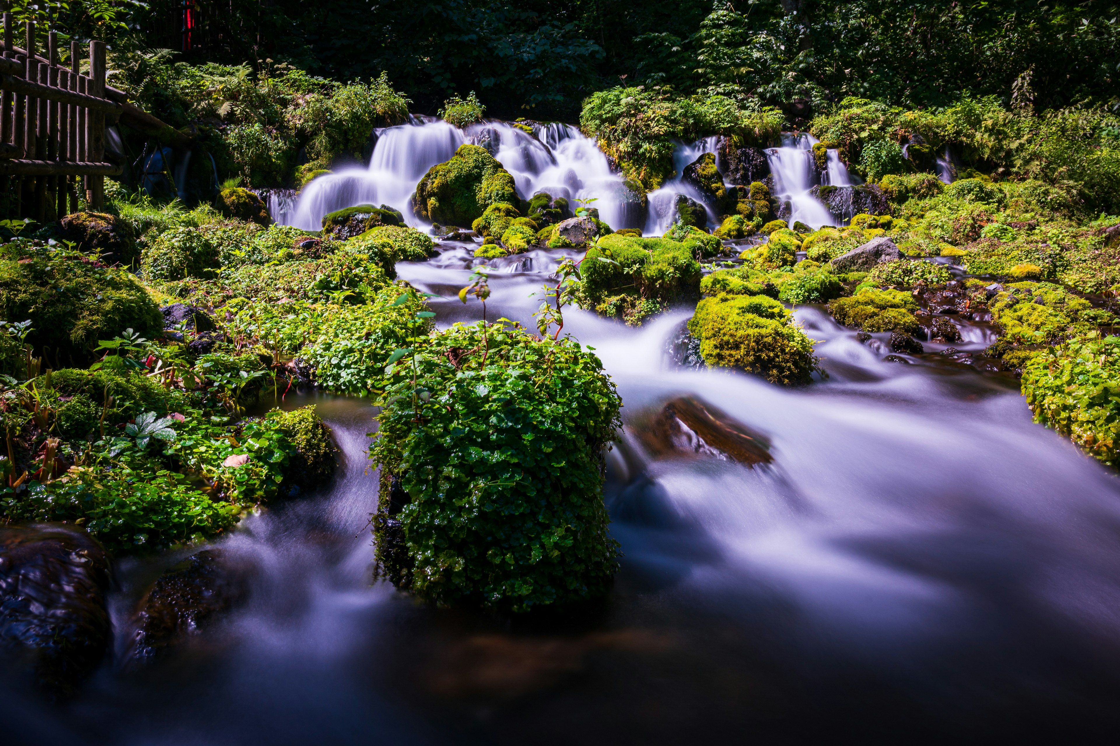 緑の苔に覆われた小川の流れと滝の風景