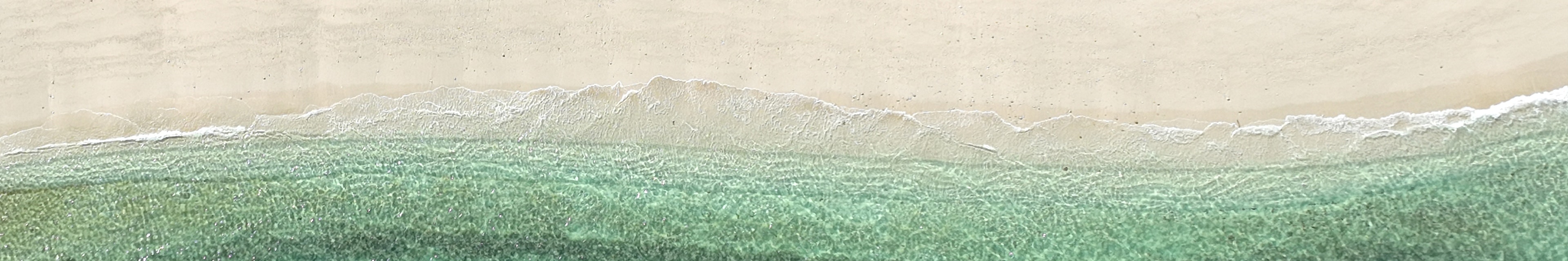 青い海と砂浜の風景が広がる