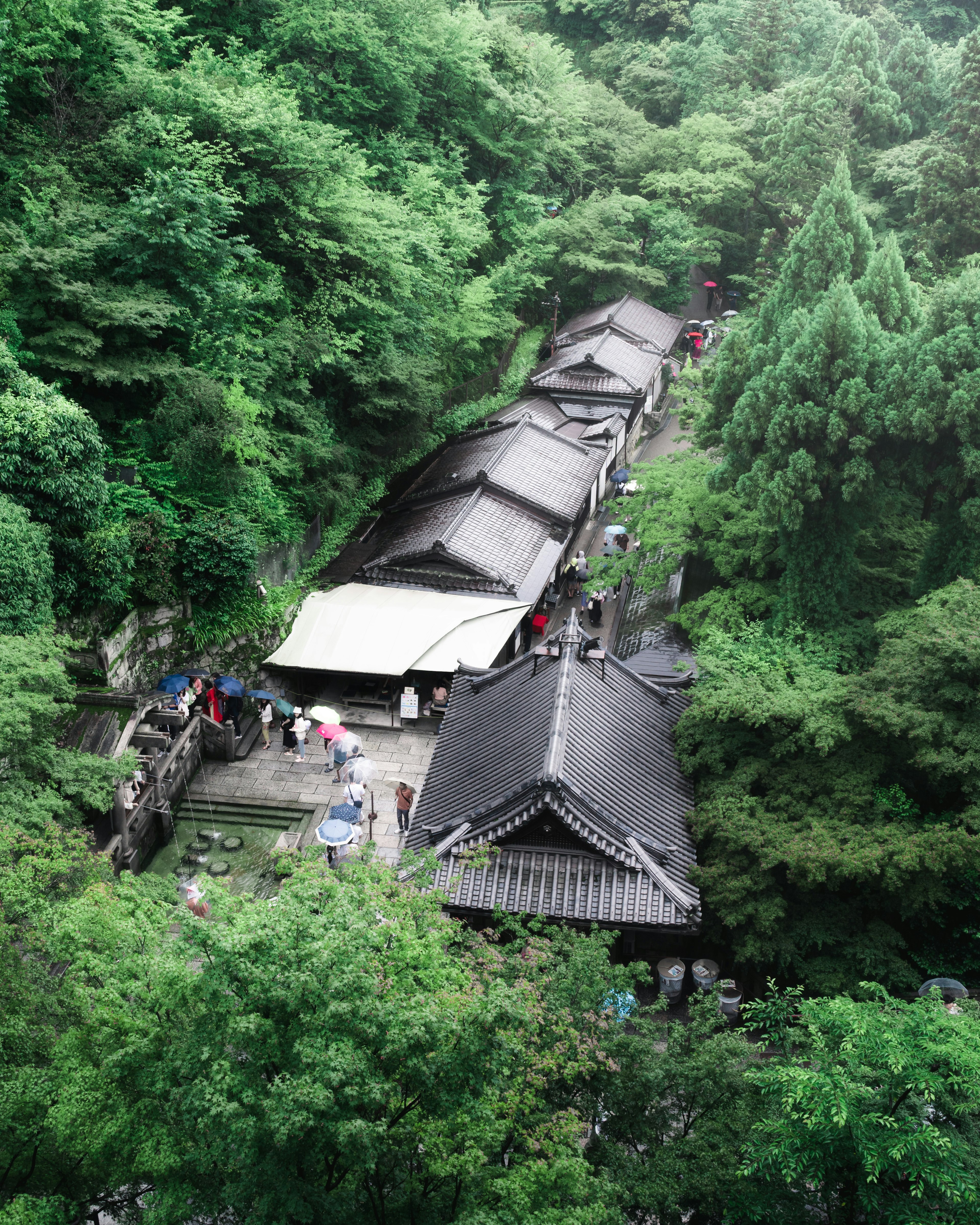 Luftaufnahme traditioneller japanischer Gebäude umgeben von üppigem Grün