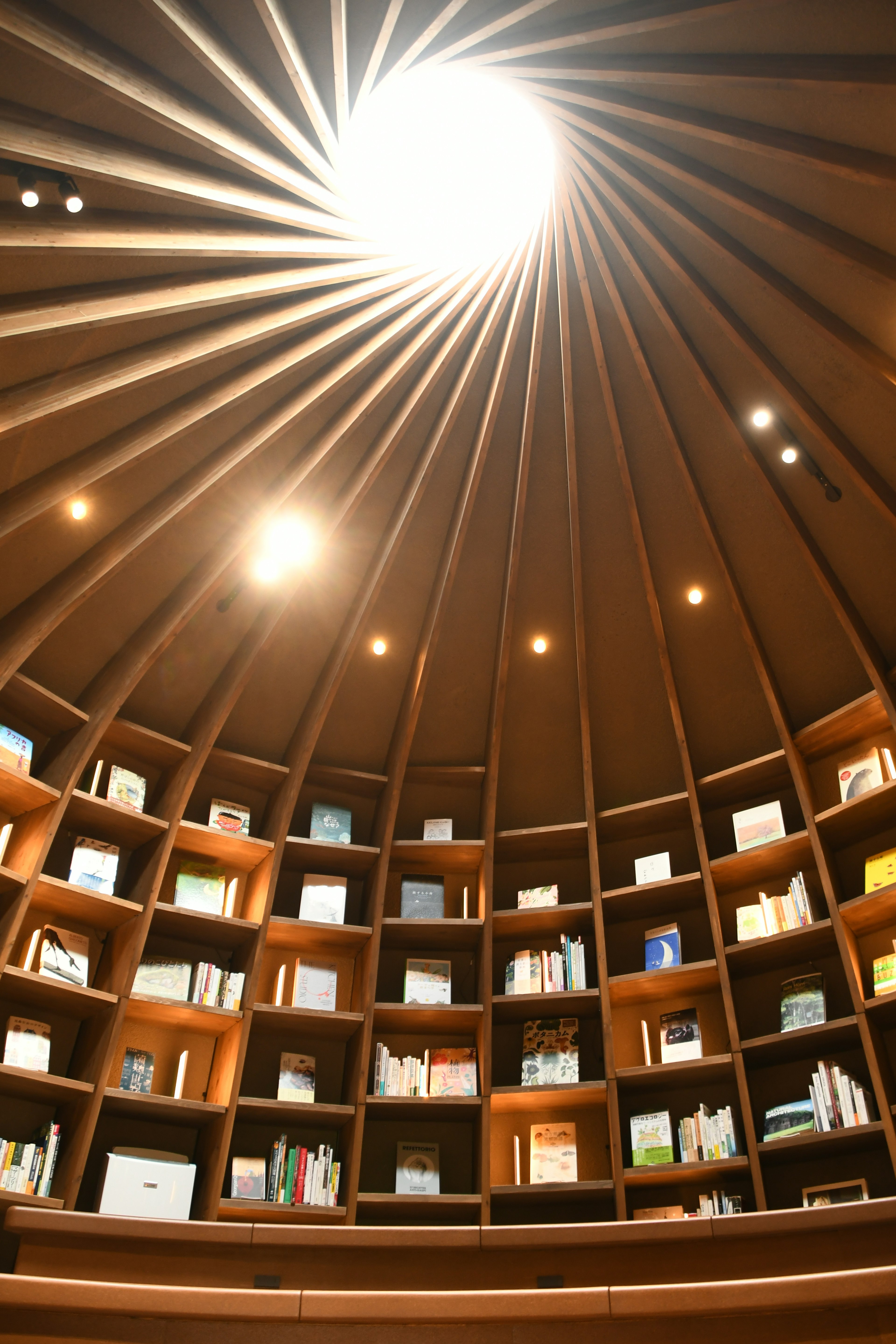 Interior de una biblioteca circular con estantes de madera y luz natural que entra por el techo