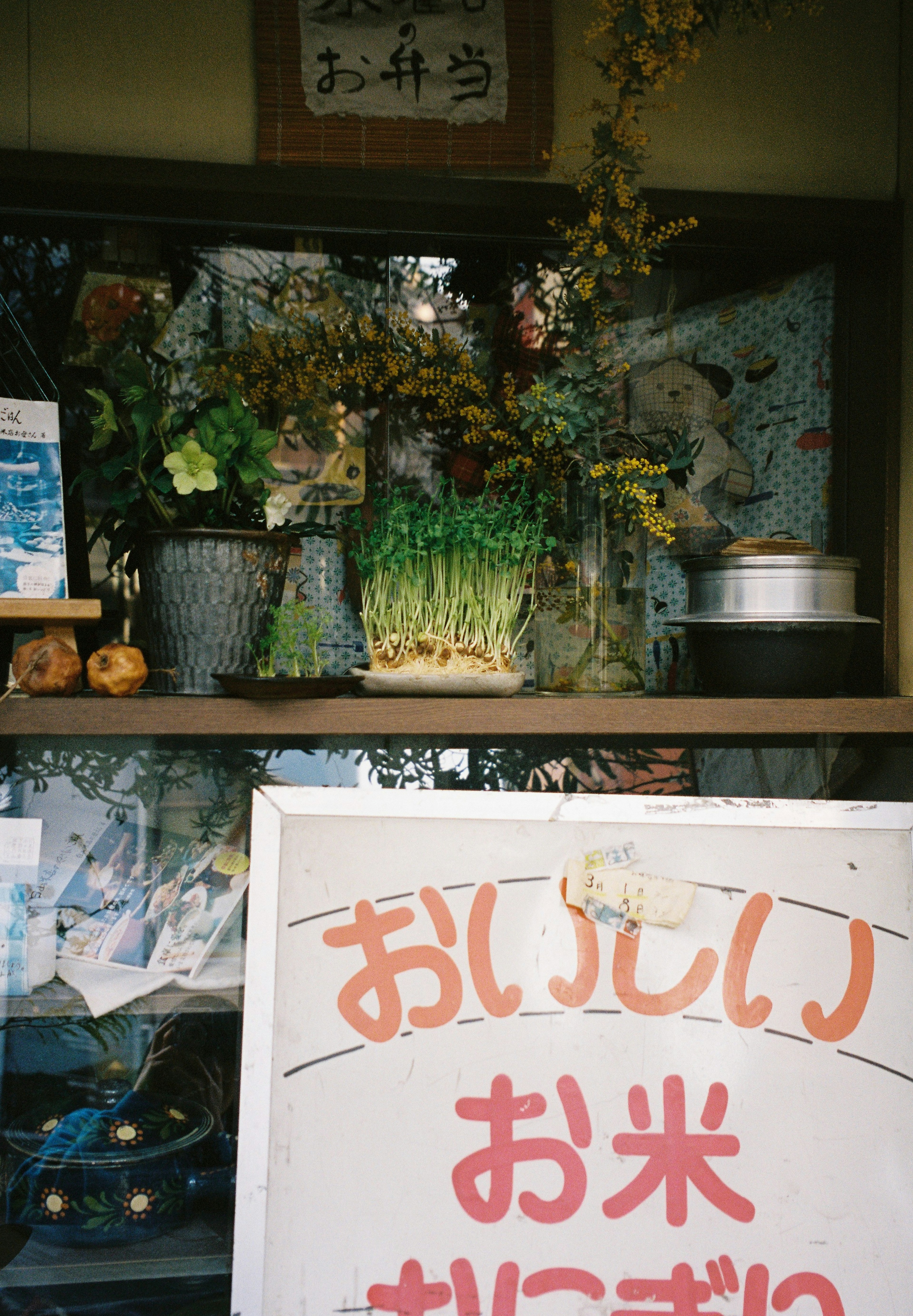 Display of flowers and rice in a shop window