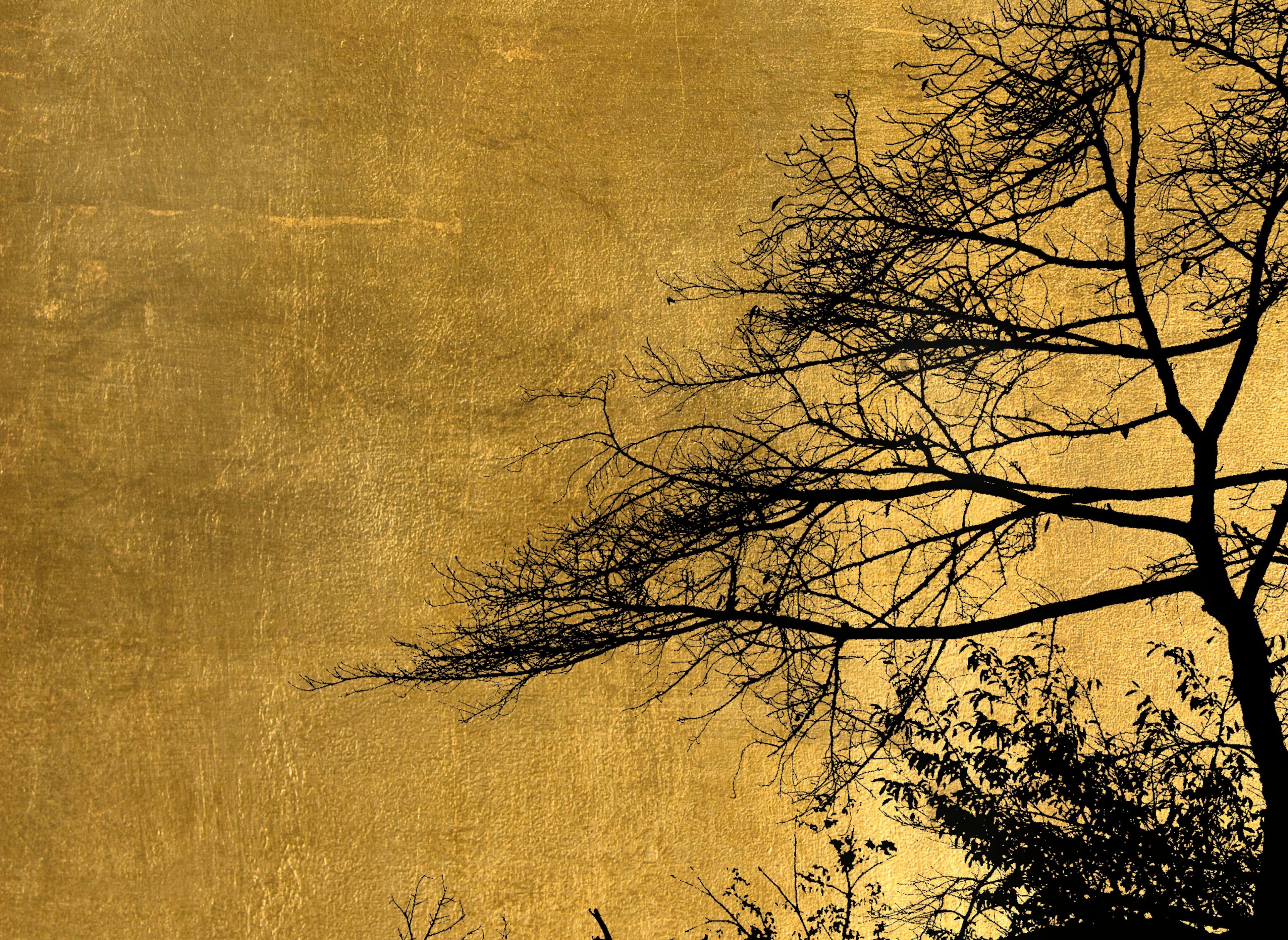 Silhouette of tree branches against a golden background