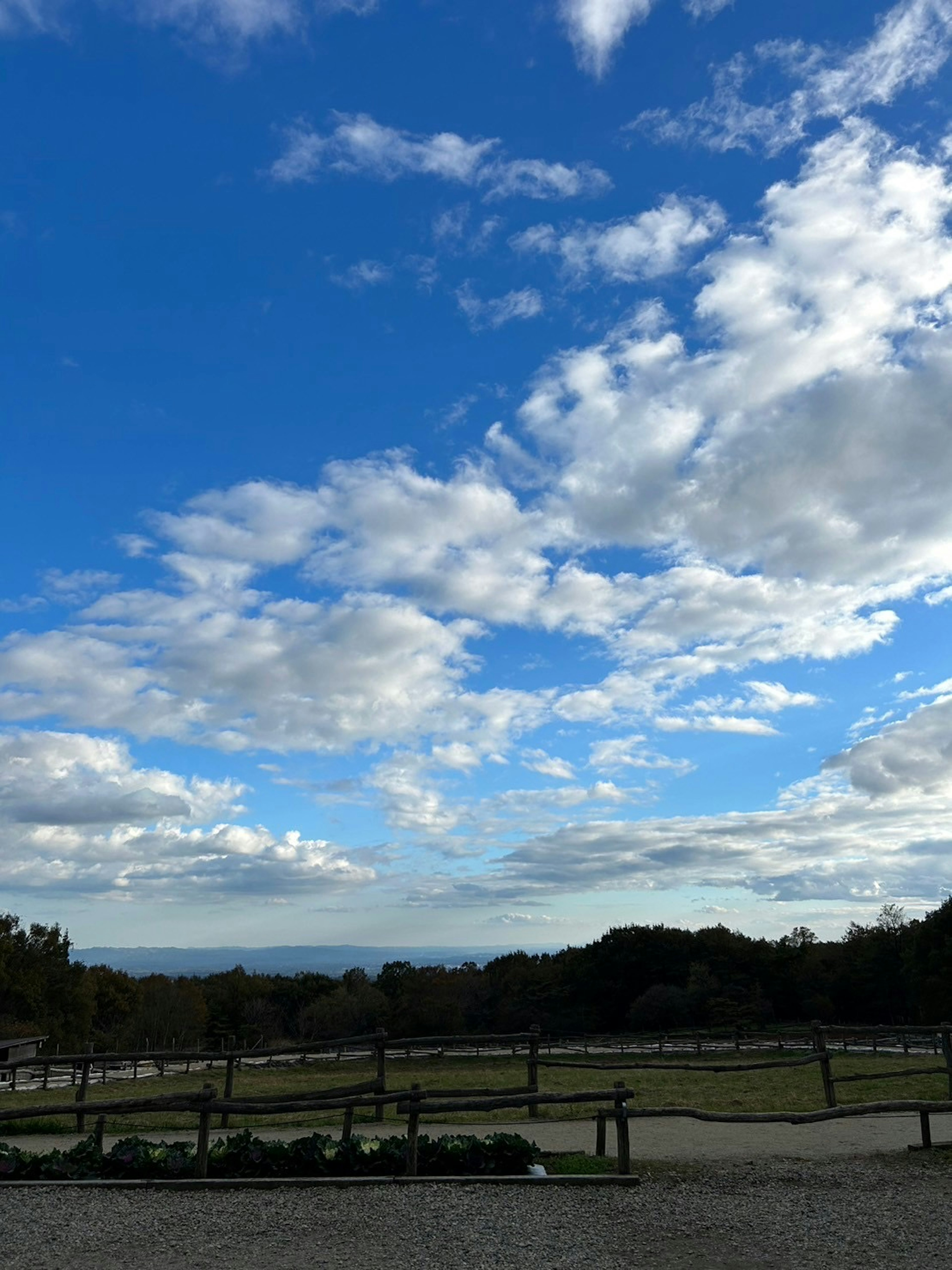 青空と白い雲が広がる風景 近くに草地とフェンスが見える