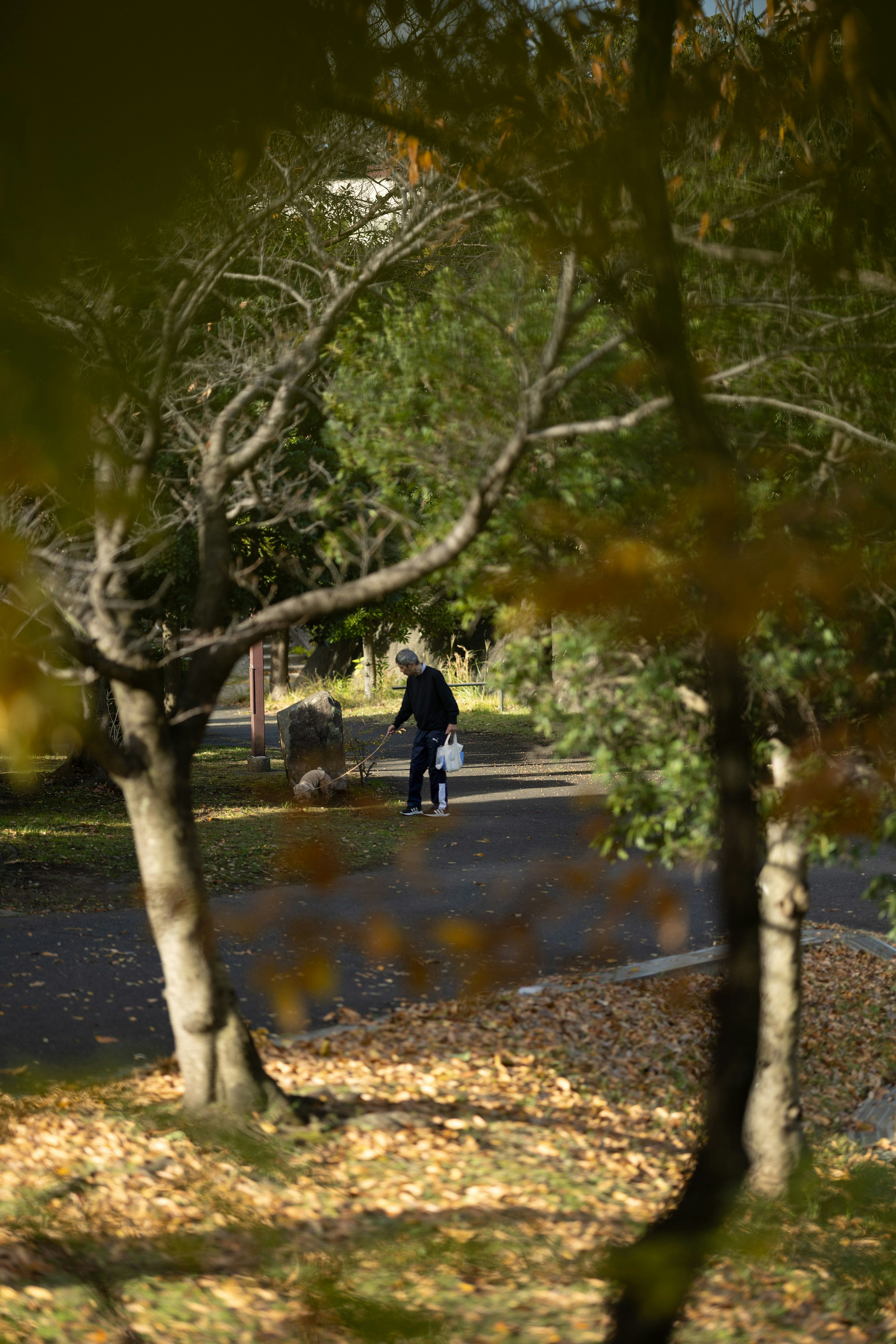 Persona caminando por un sendero del parque rodeada de hojas de otoño
