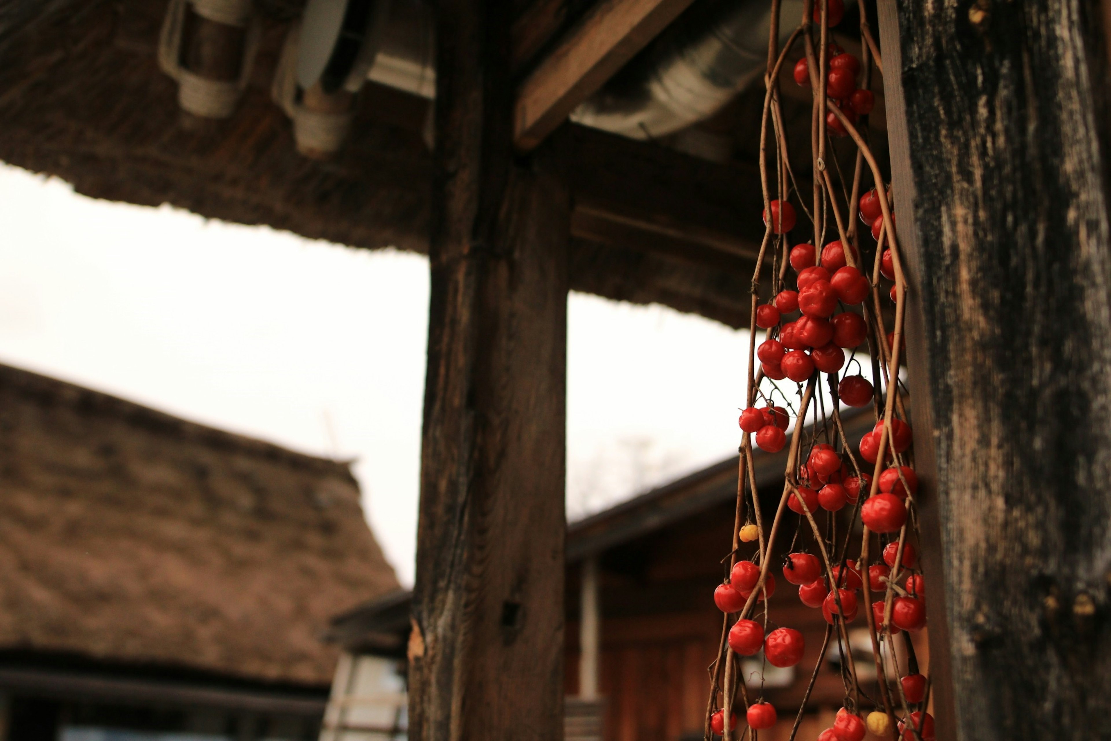 Bangunan tradisional dengan beri merah tergantung dari sulur