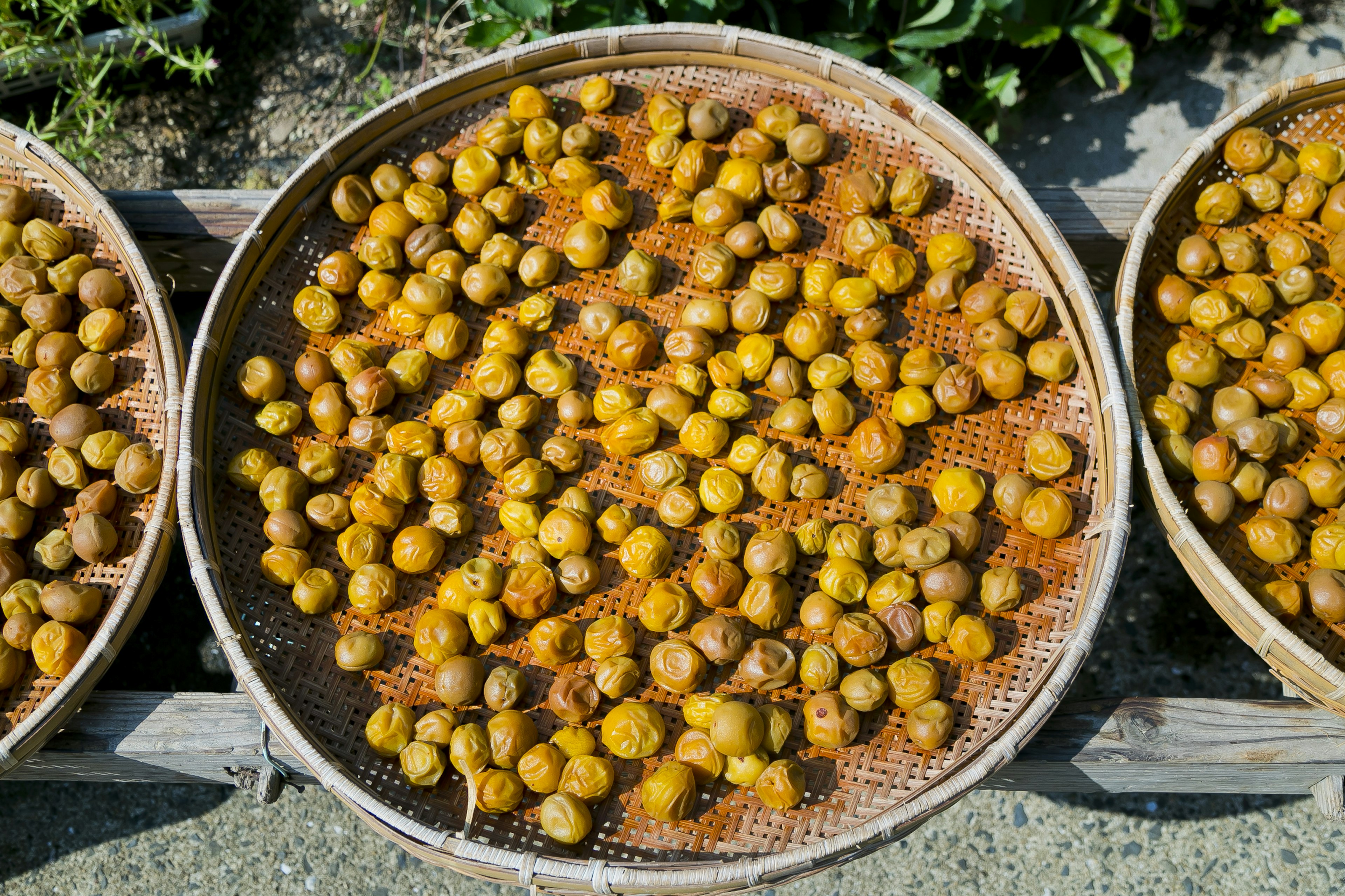 Fruits séchés disposés dans des plateaux en bambou