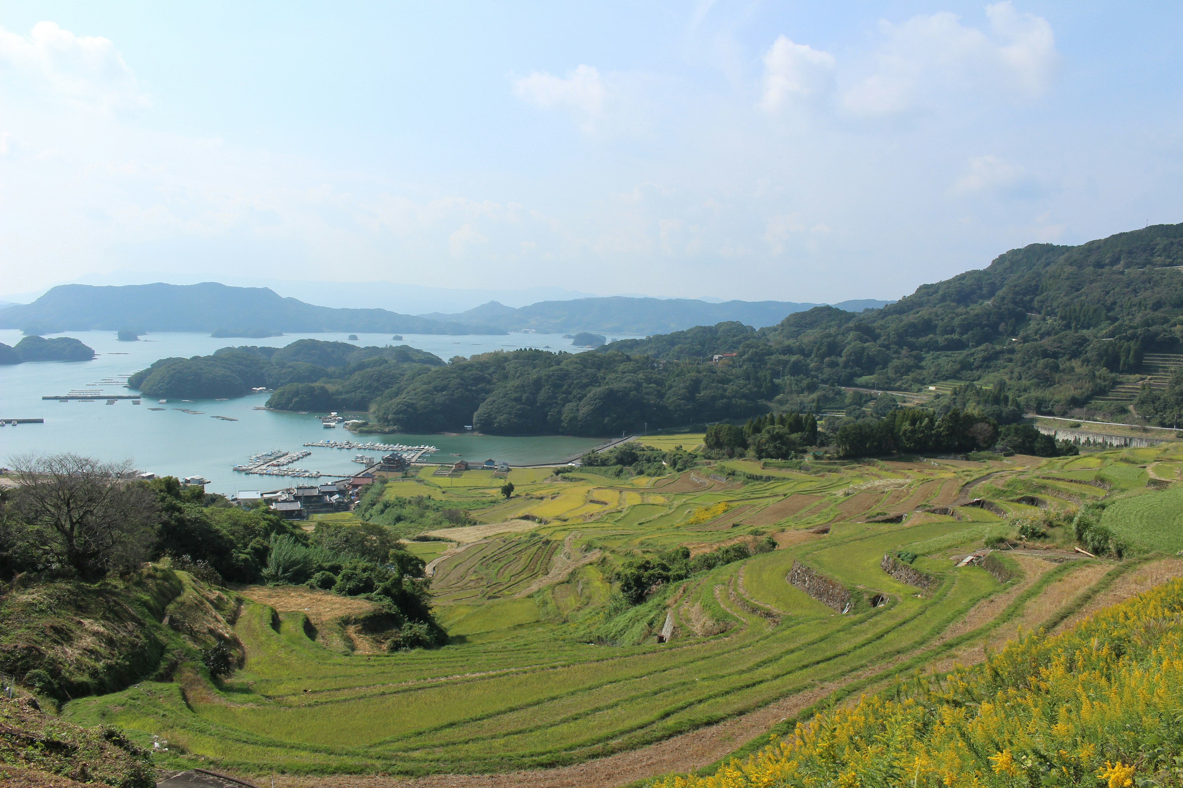 Scenic view of terraced rice fields and coastline