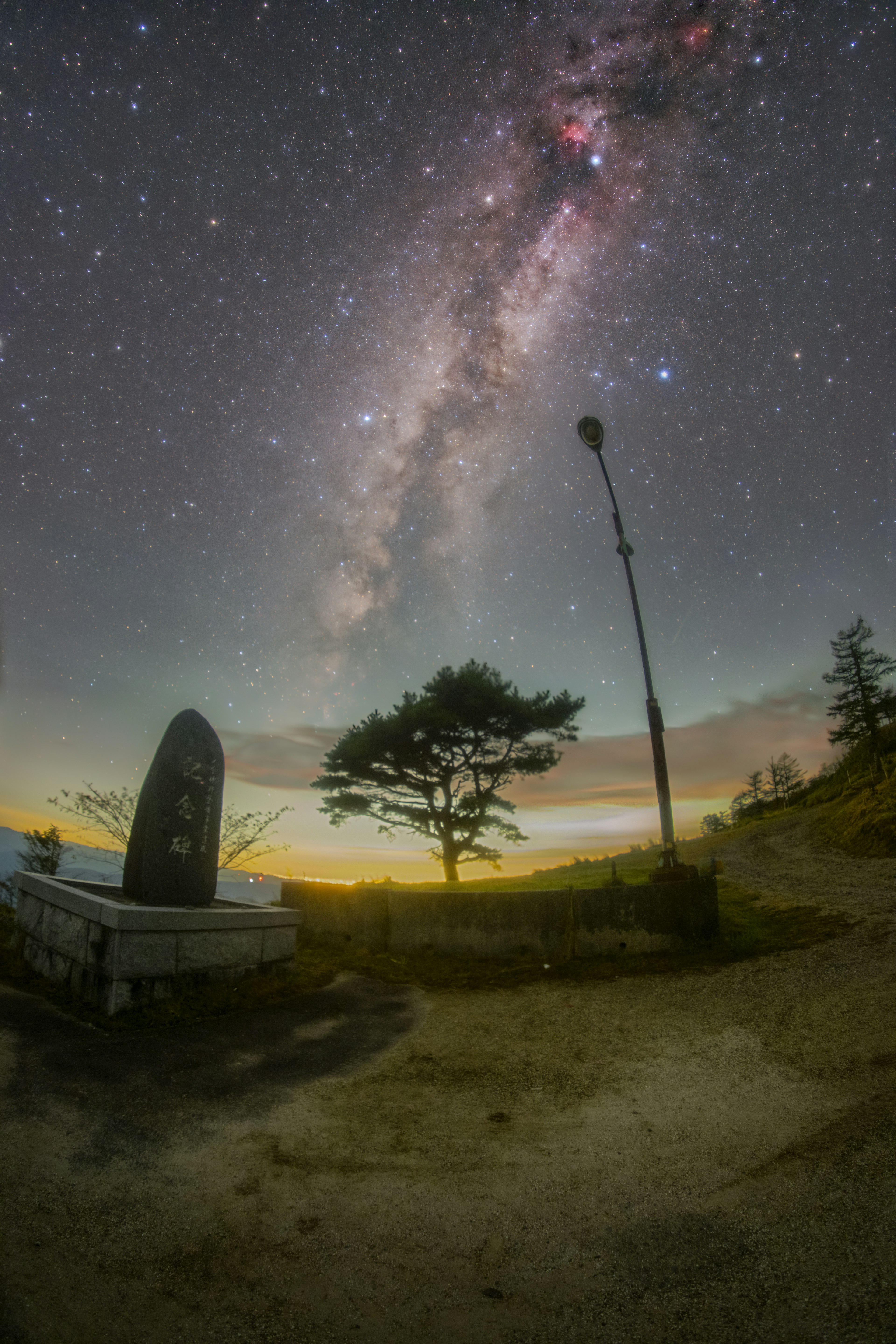 Via Lattea che si estende nel cielo notturno con la silhouette di un albero solitario