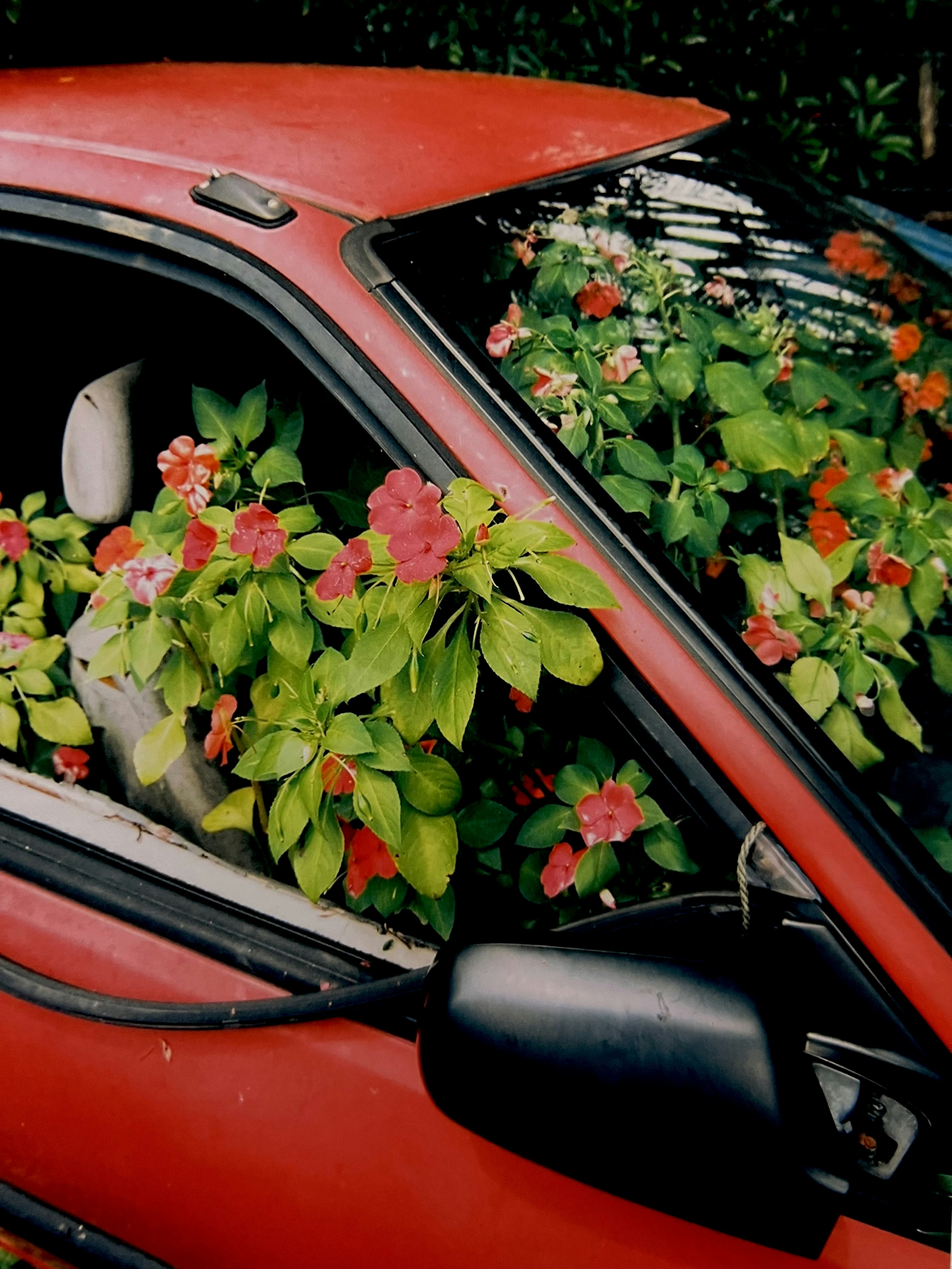 Voiture rouge remplie de fleurs colorées et de feuillage débordant des fenêtres