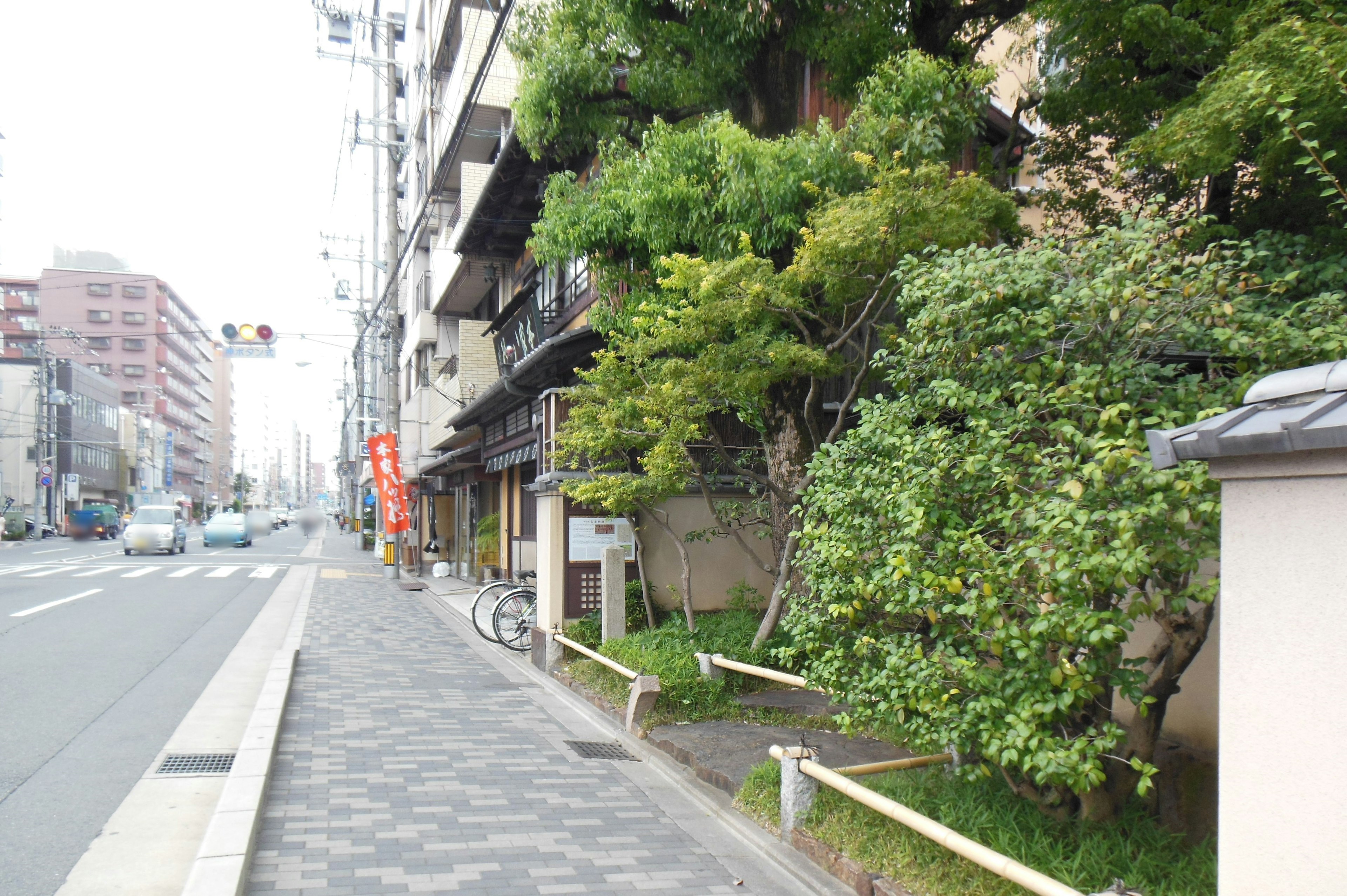 街道沿いに並ぶ建物と緑豊かな植物の風景