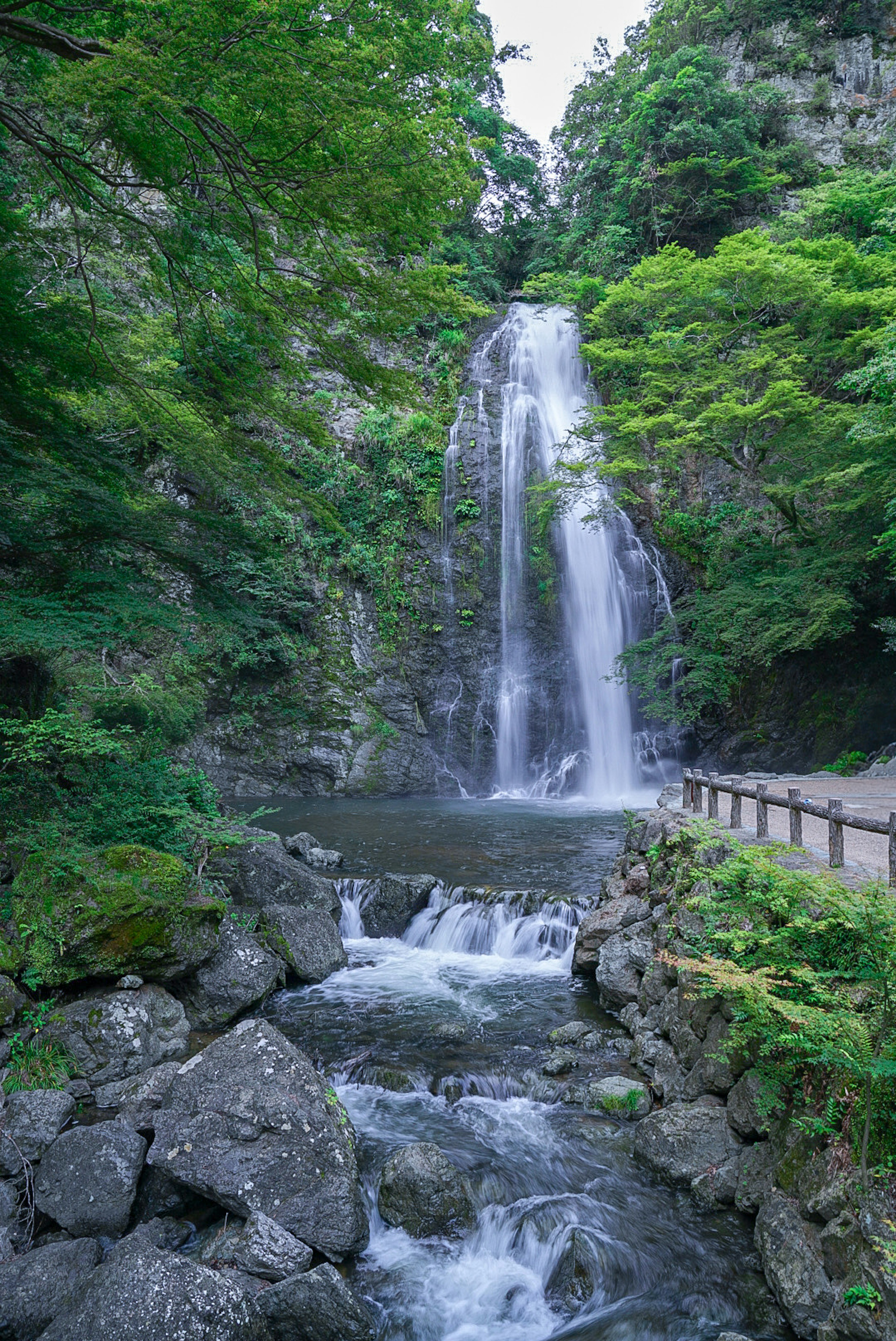 Air terjun yang indah dikelilingi oleh vegetasi subur dan air mengalir