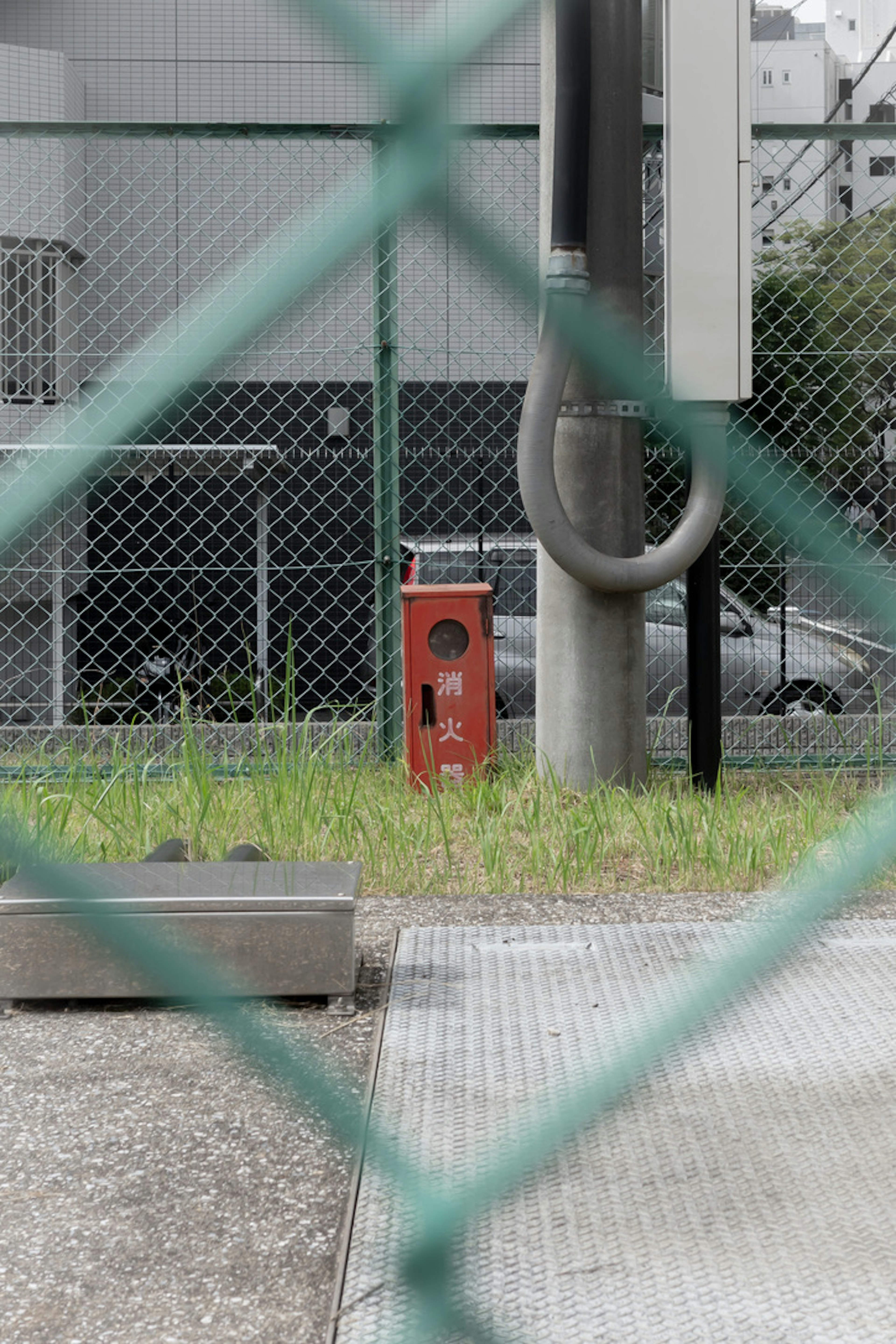 フェンス越しに見える赤い郵便ポストと草の生えた地面