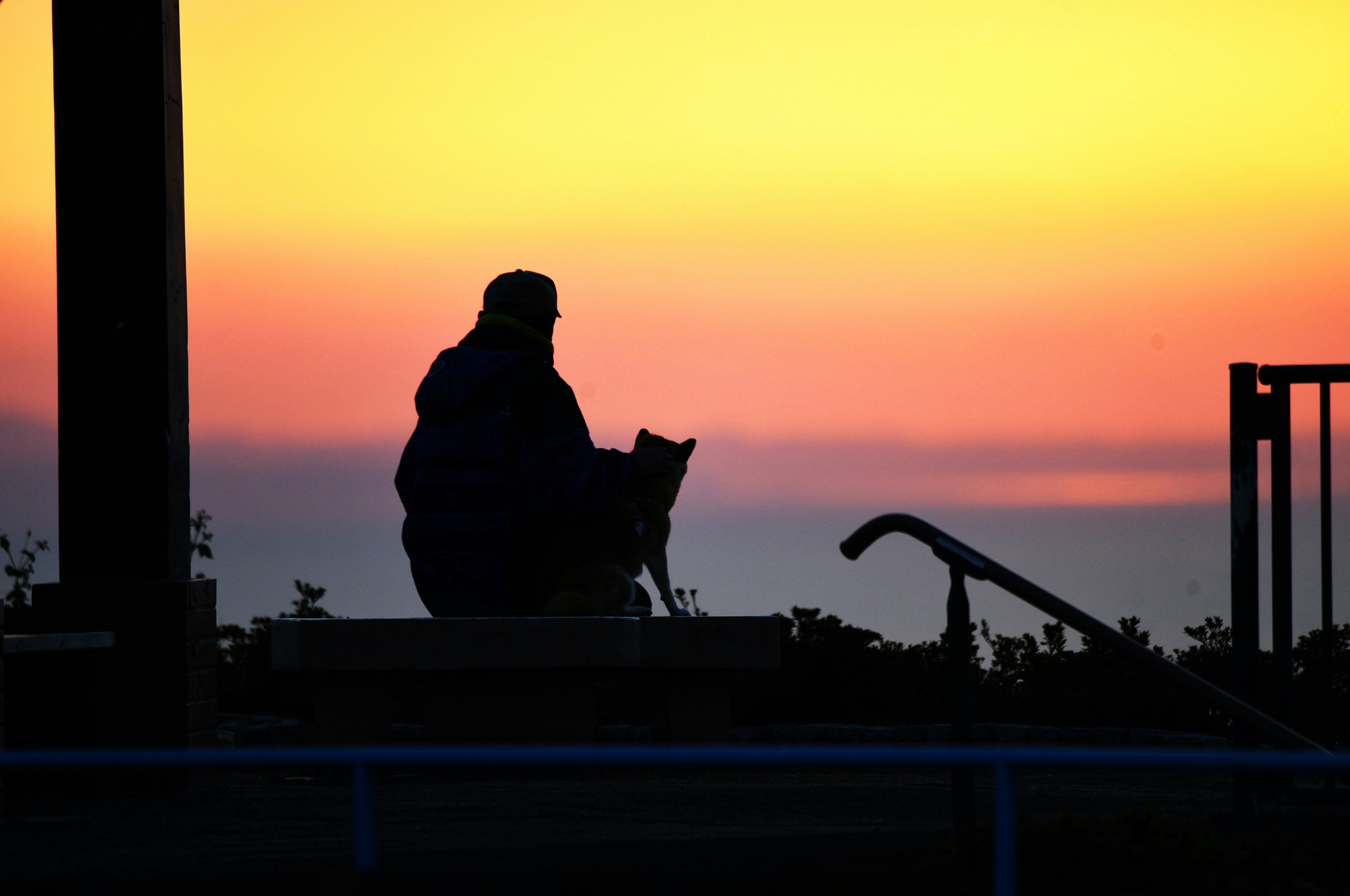 Silueta de una persona y un perro contra un atardecer