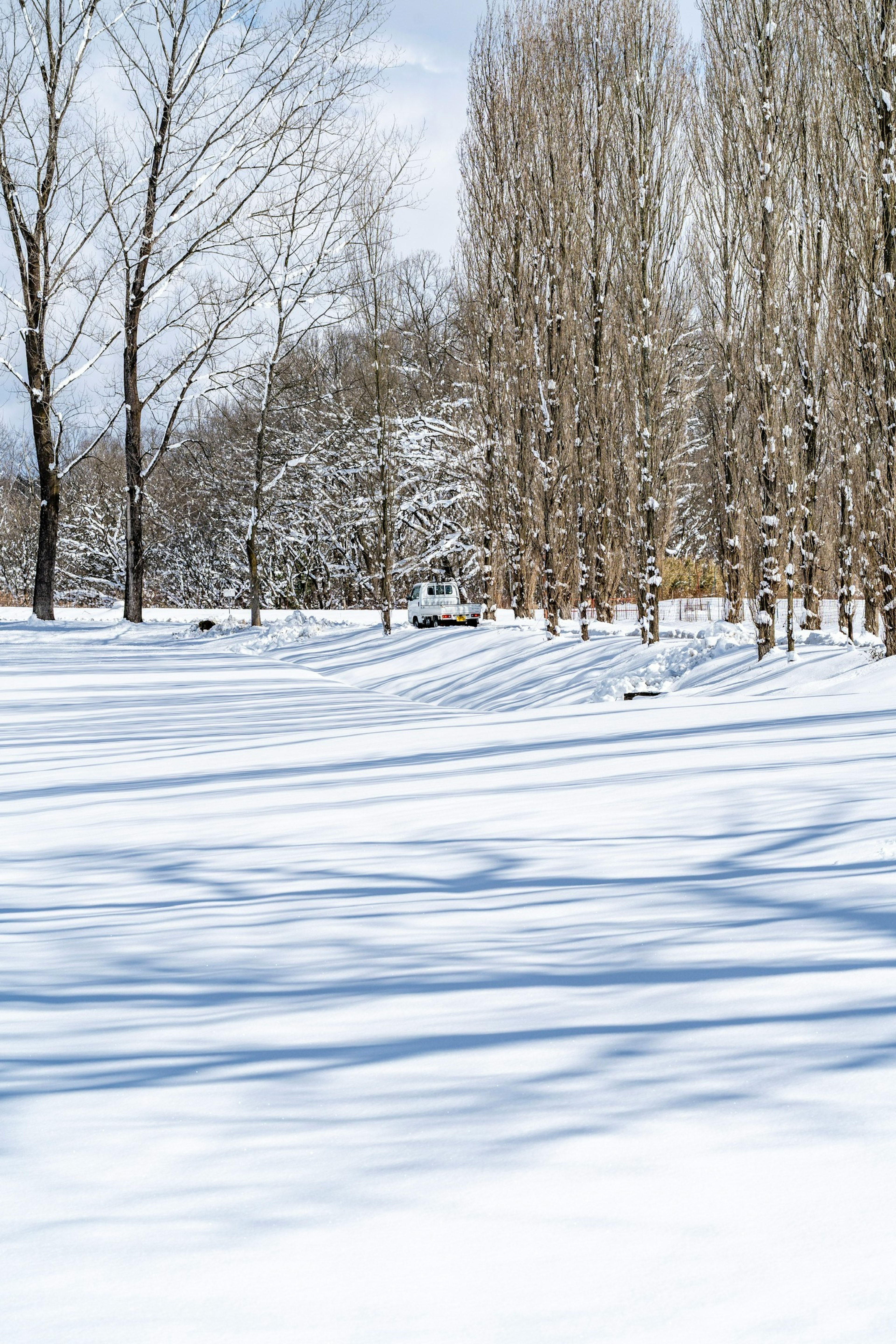 Schneebedeckte Landschaft mit Baum Schatten