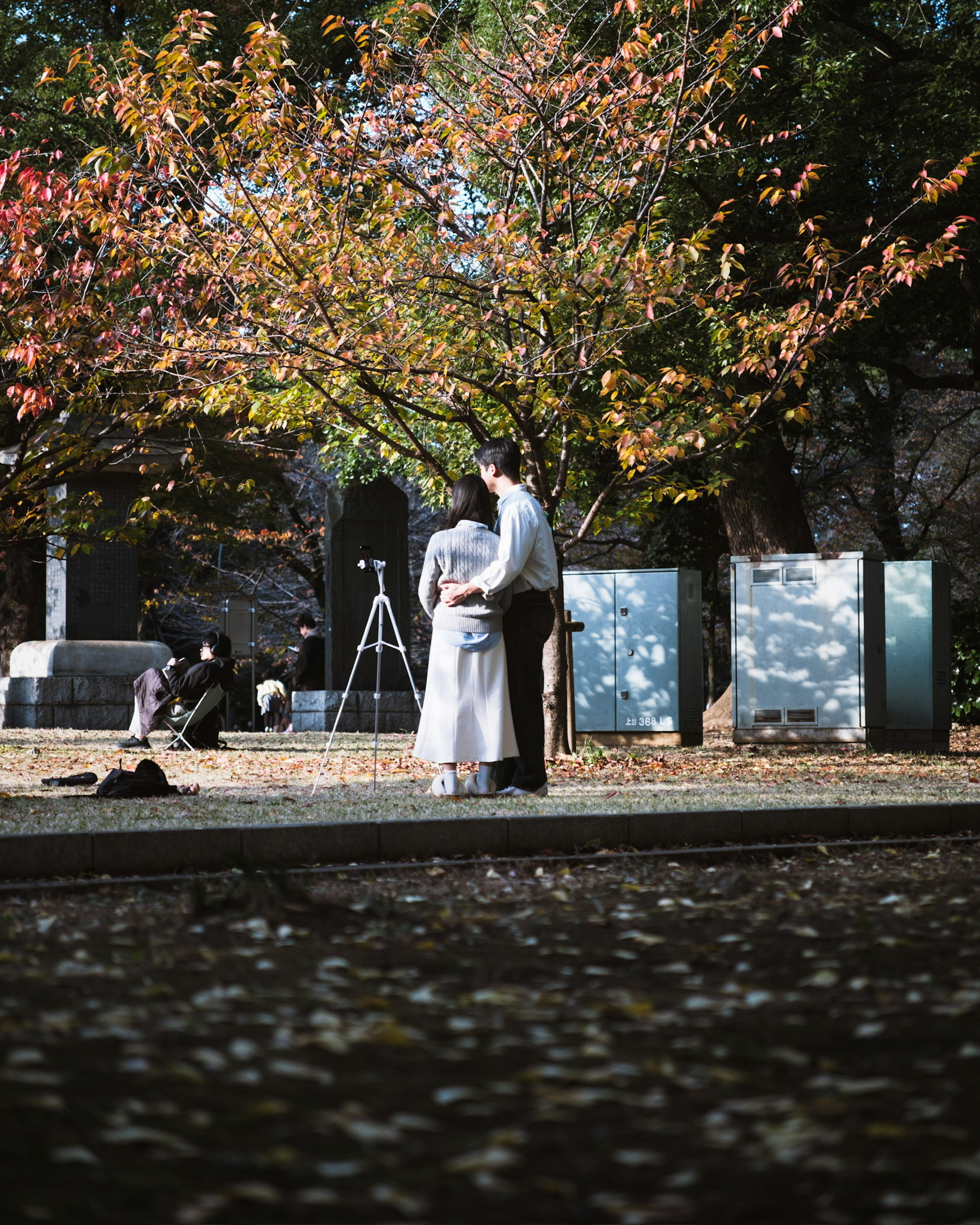 Pareja abrazándose en un parque de otoño con árboles coloridos