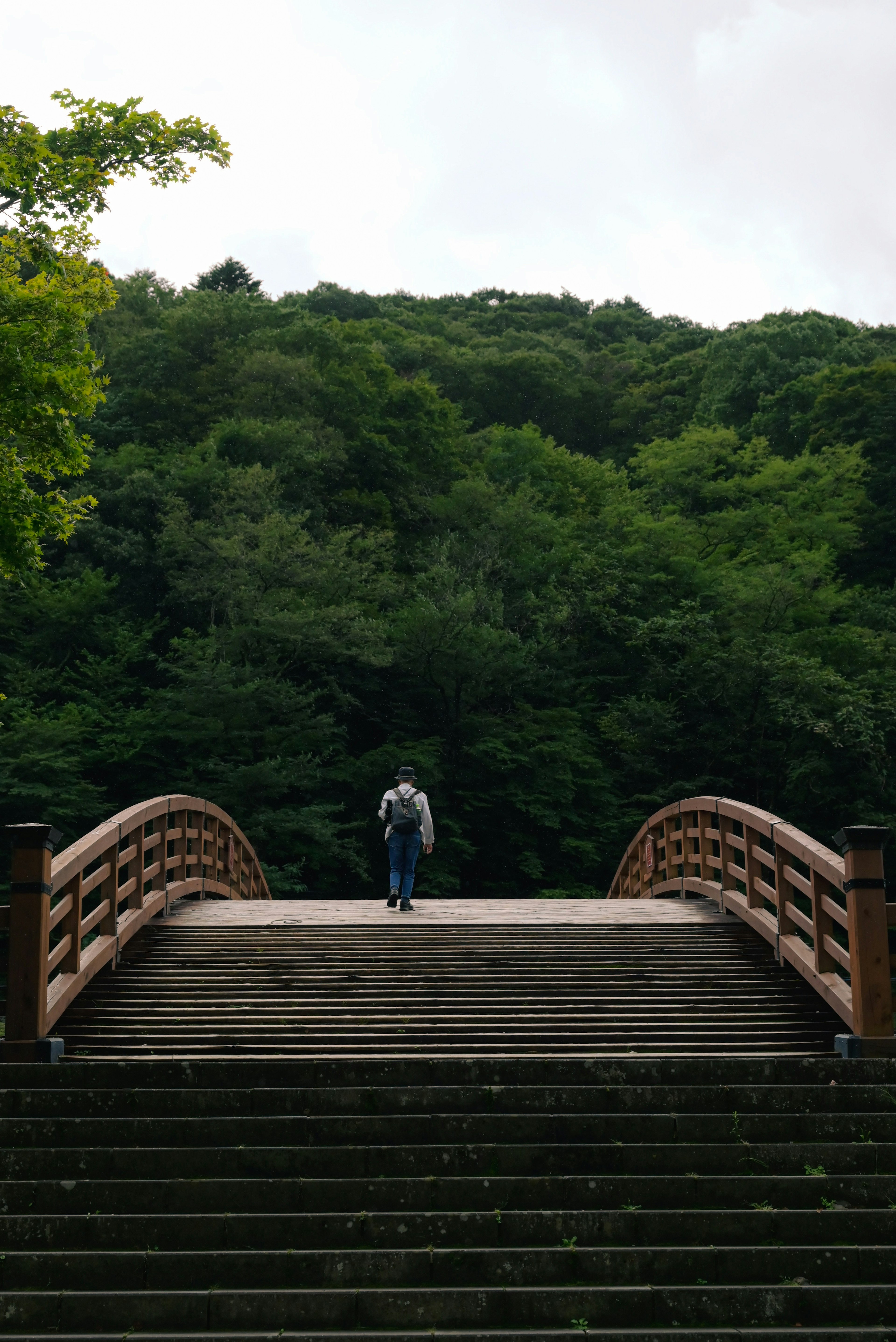 Una persona caminando sobre un puente de madera rodeado de un bosque verde