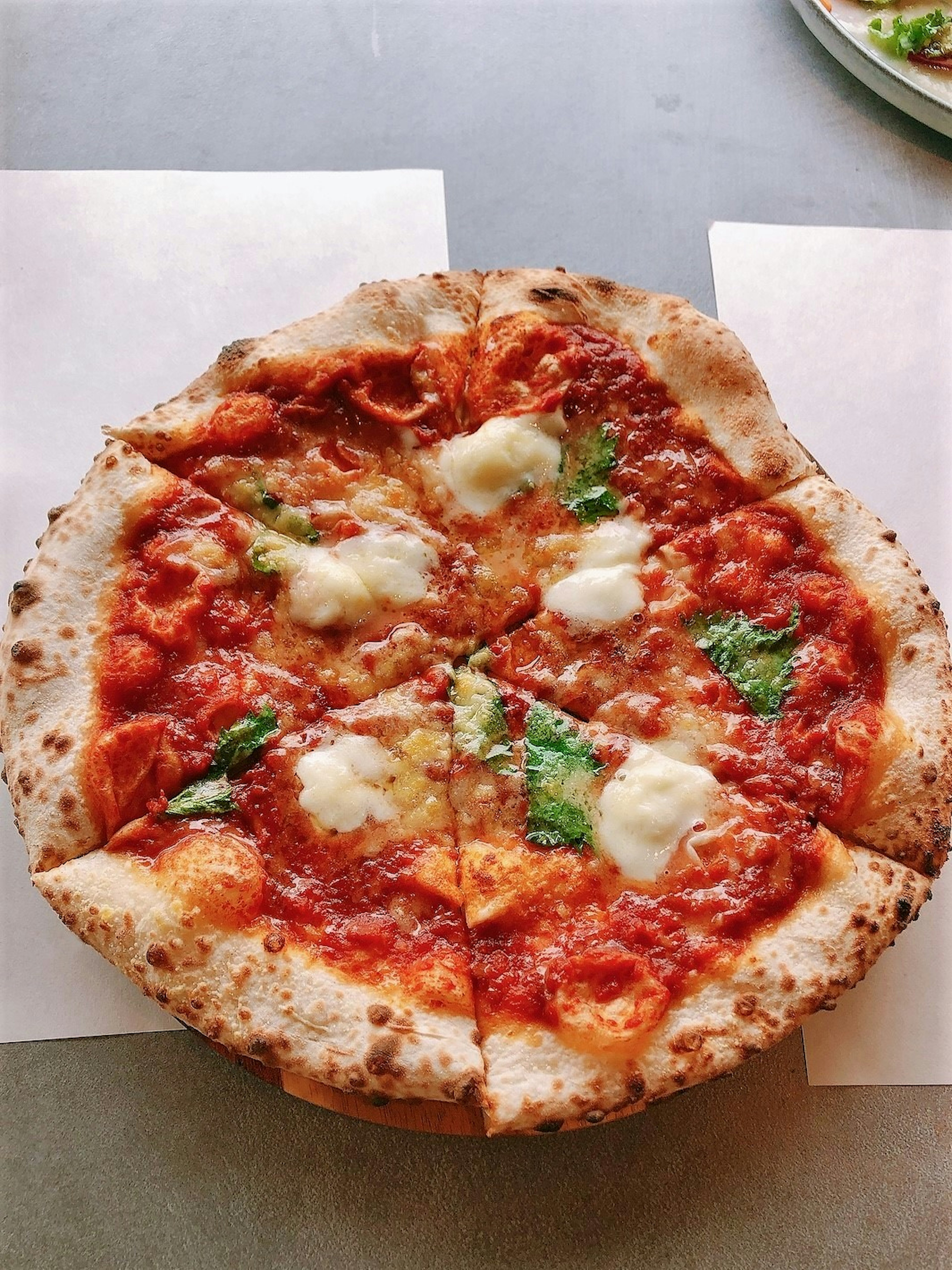 Delicious pizza viewed from above with tomato sauce mozzarella cheese and basil toppings