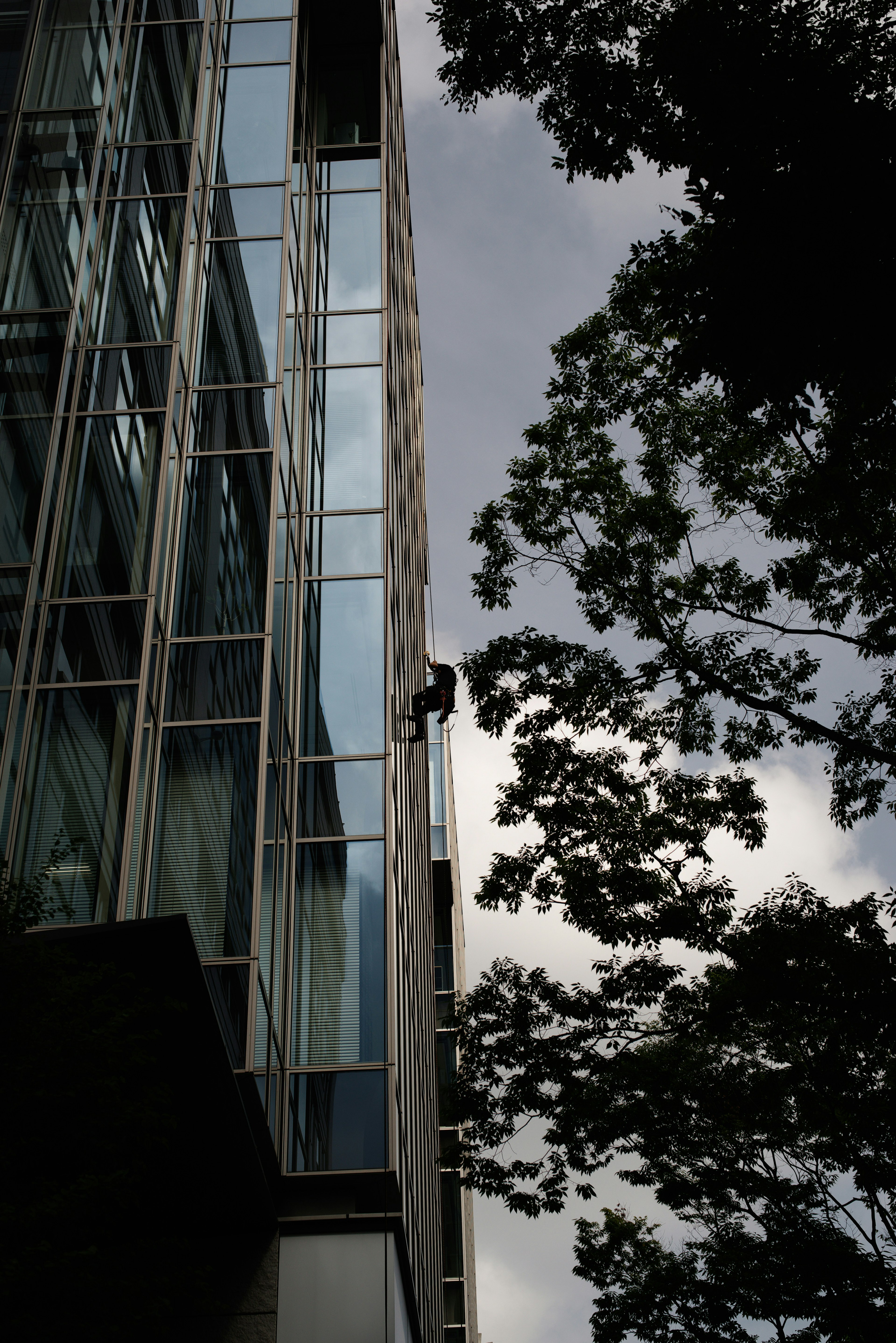 A person climbing the glass exterior of a tall building