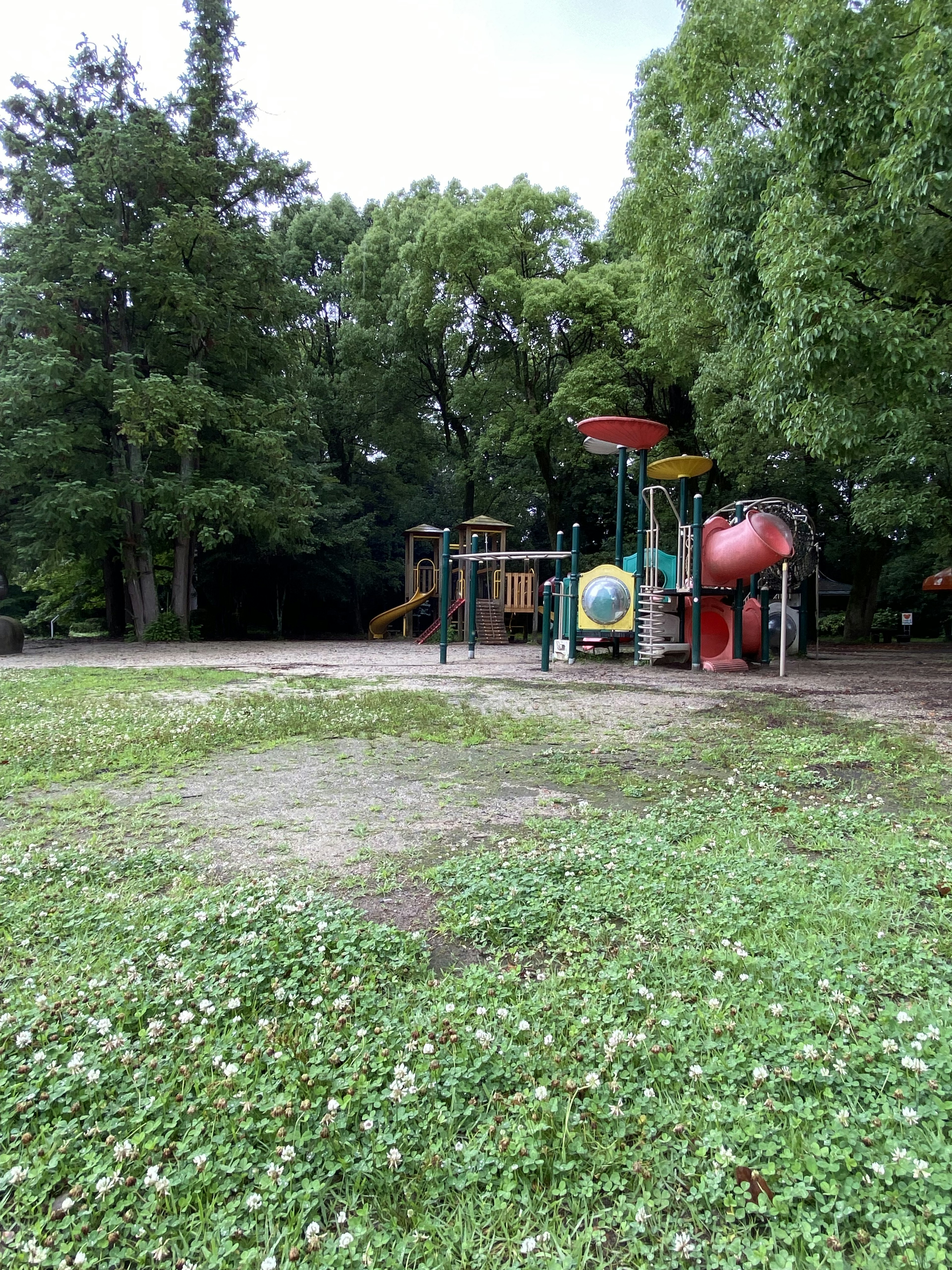 公園の遊び場には緑の芝生と遊具があり周囲には木々が立ち並んでいる