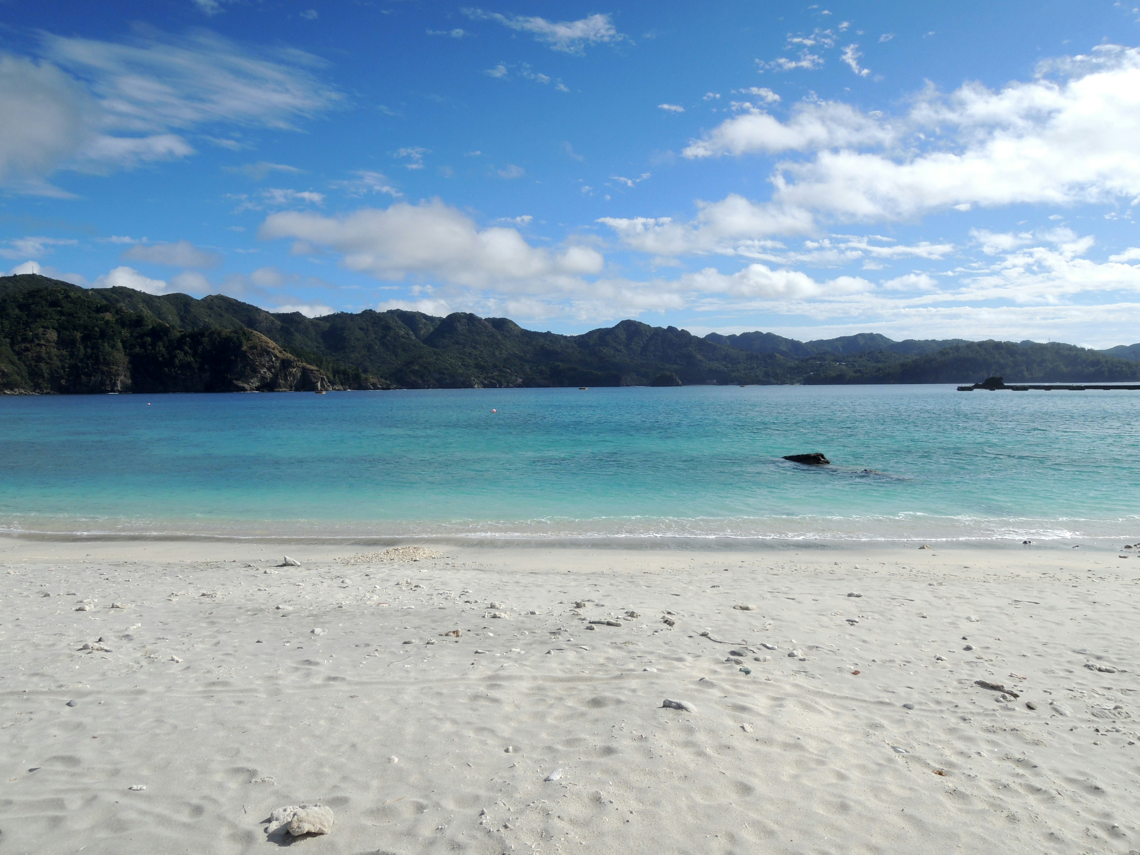 Vista panoramica di una bella spiaggia con acqua blu e sabbia bianca