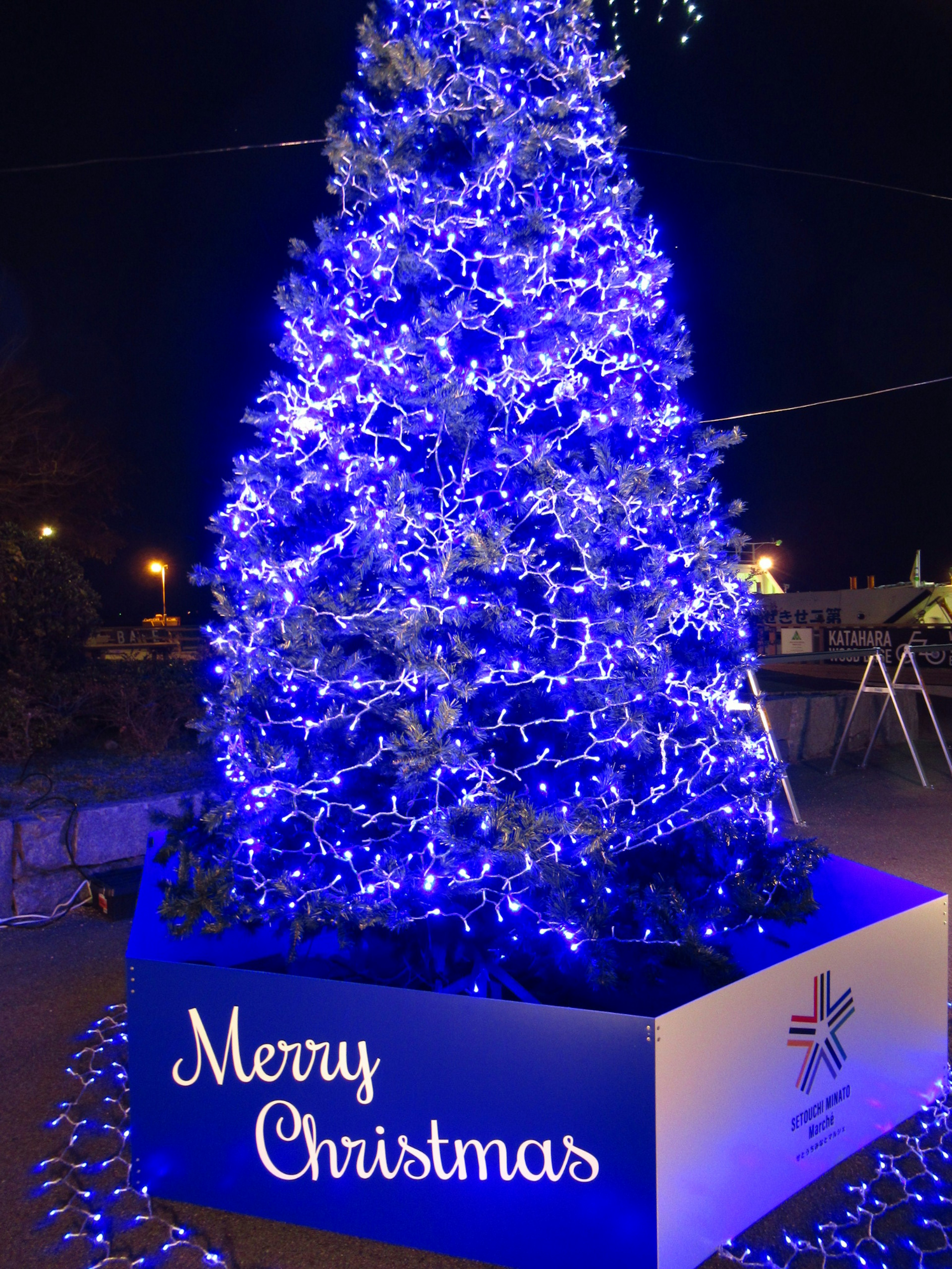 Pohon Natal yang diterangi biru dengan tanda yang bertuliskan Selamat Natal