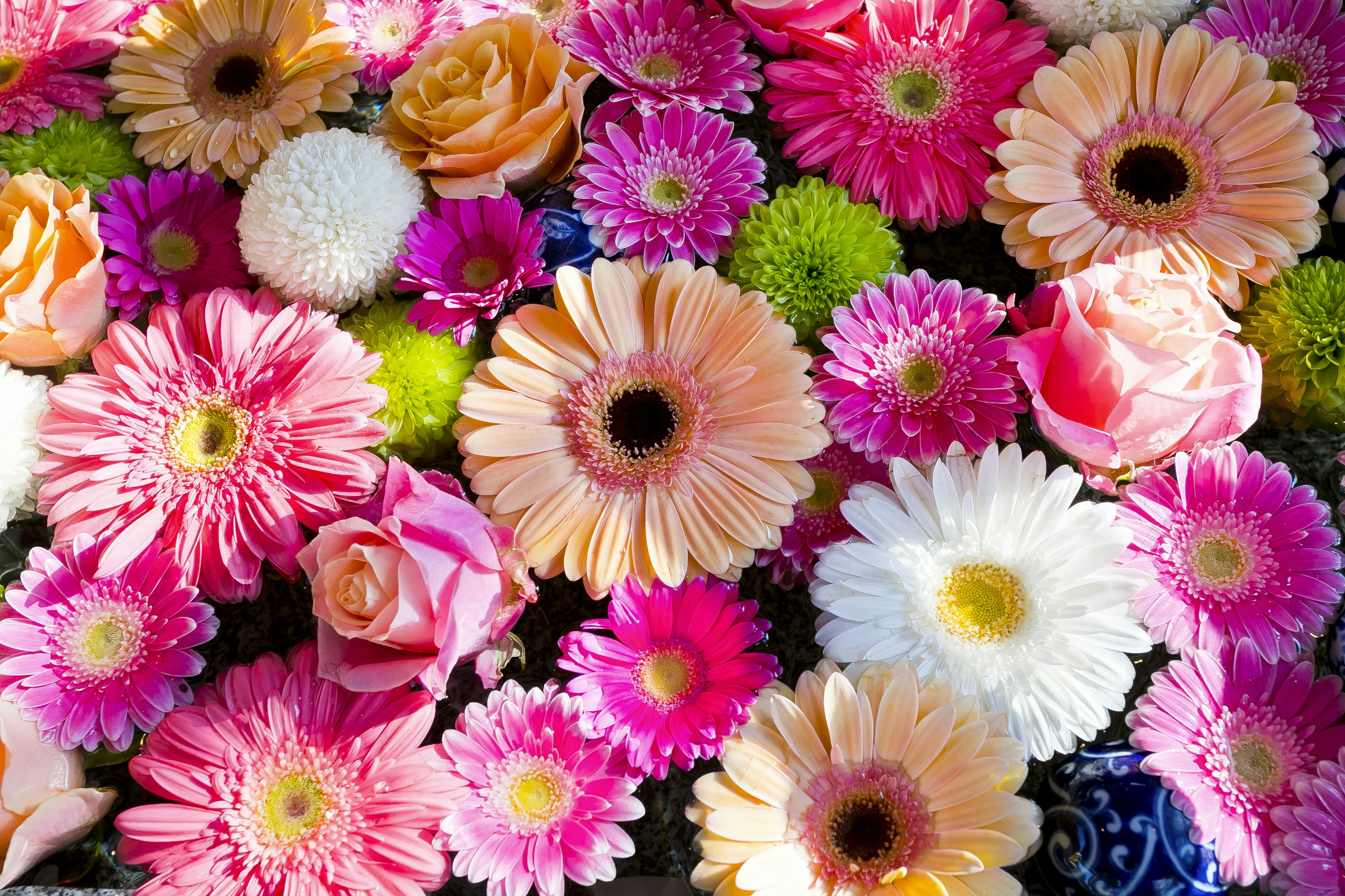 Un magnifique bouquet de fleurs mélangées colorées