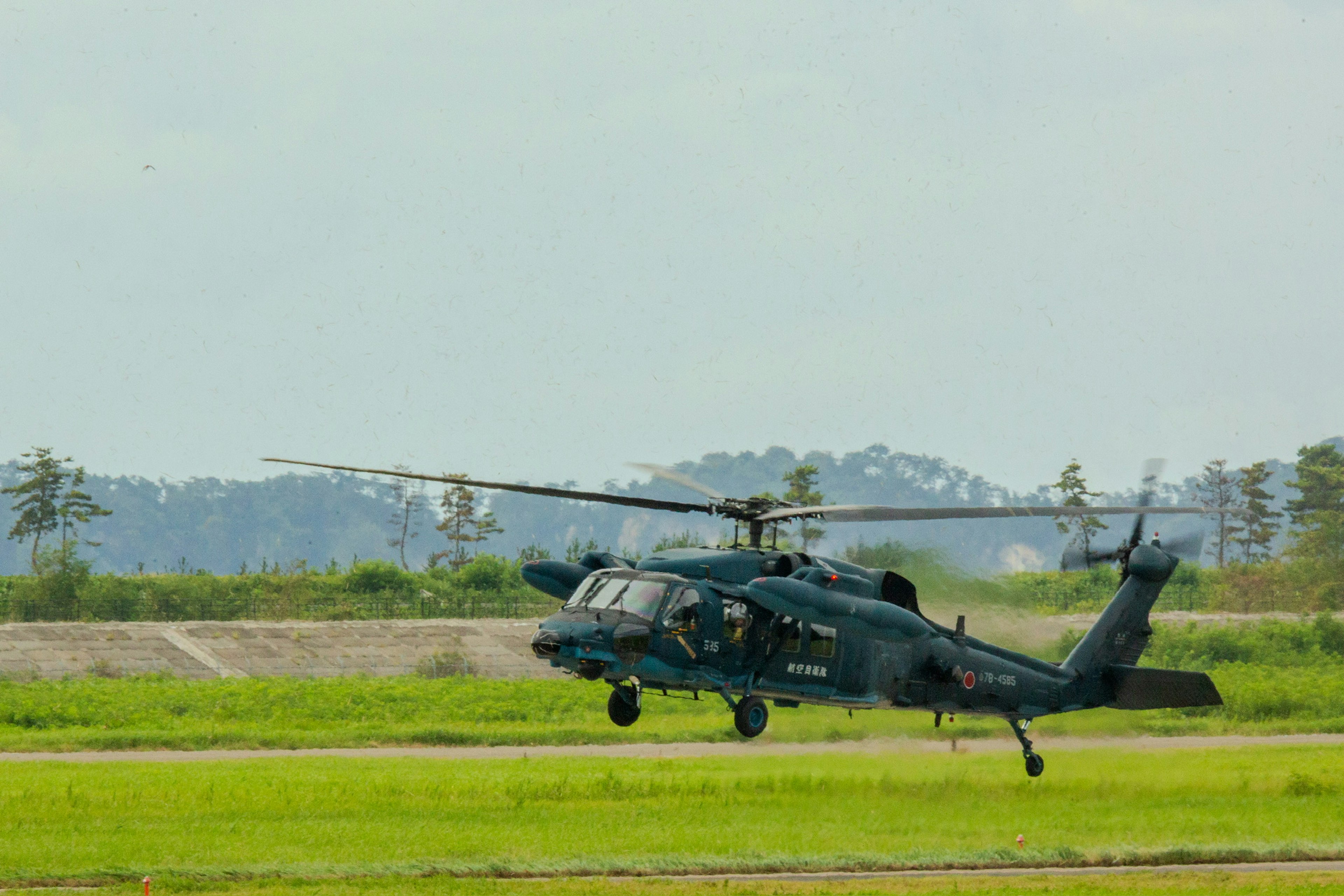 Hélicoptère Black Hawk atterrissant sur un champ d'herbe verte