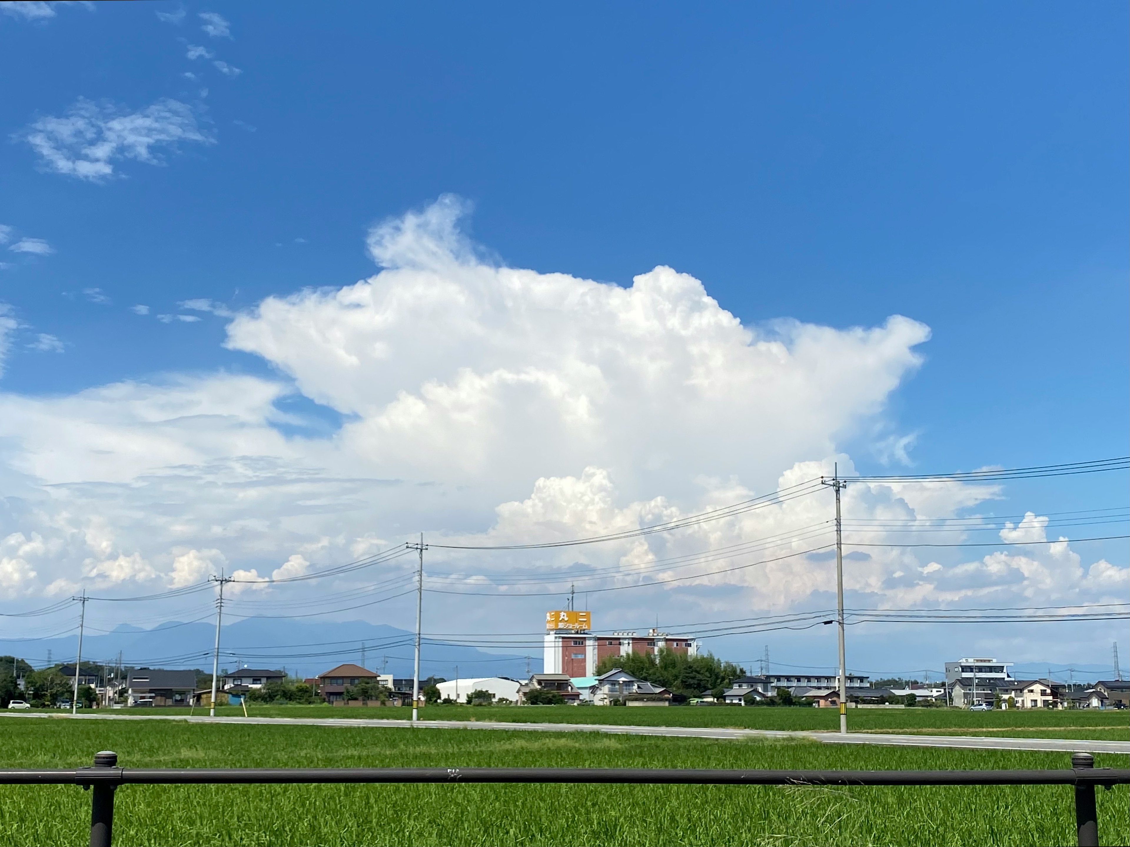 青い空と白い雲の下に広がる緑の田んぼと建物の風景