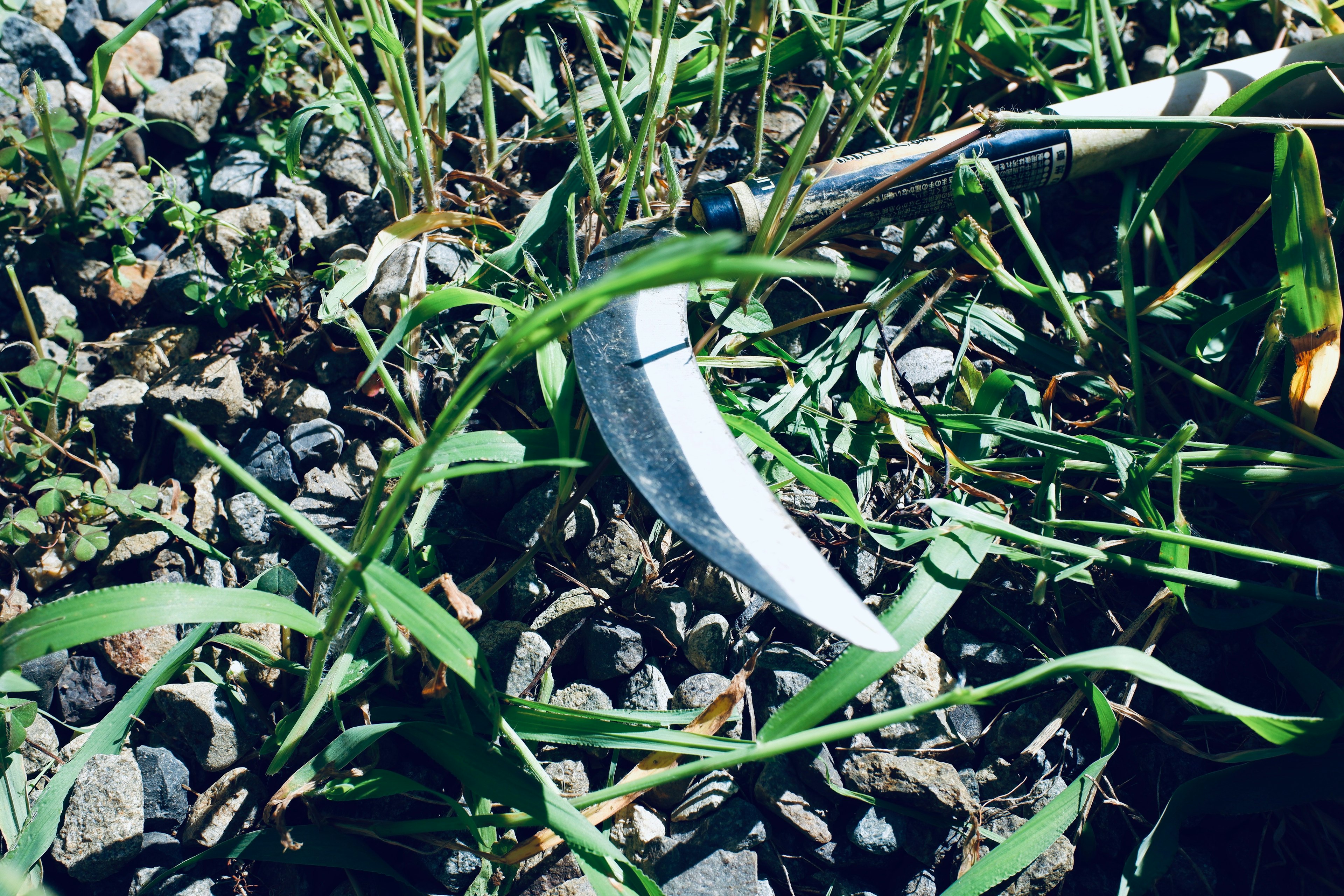 Gros plan d'un outil de coupe niché dans l'herbe