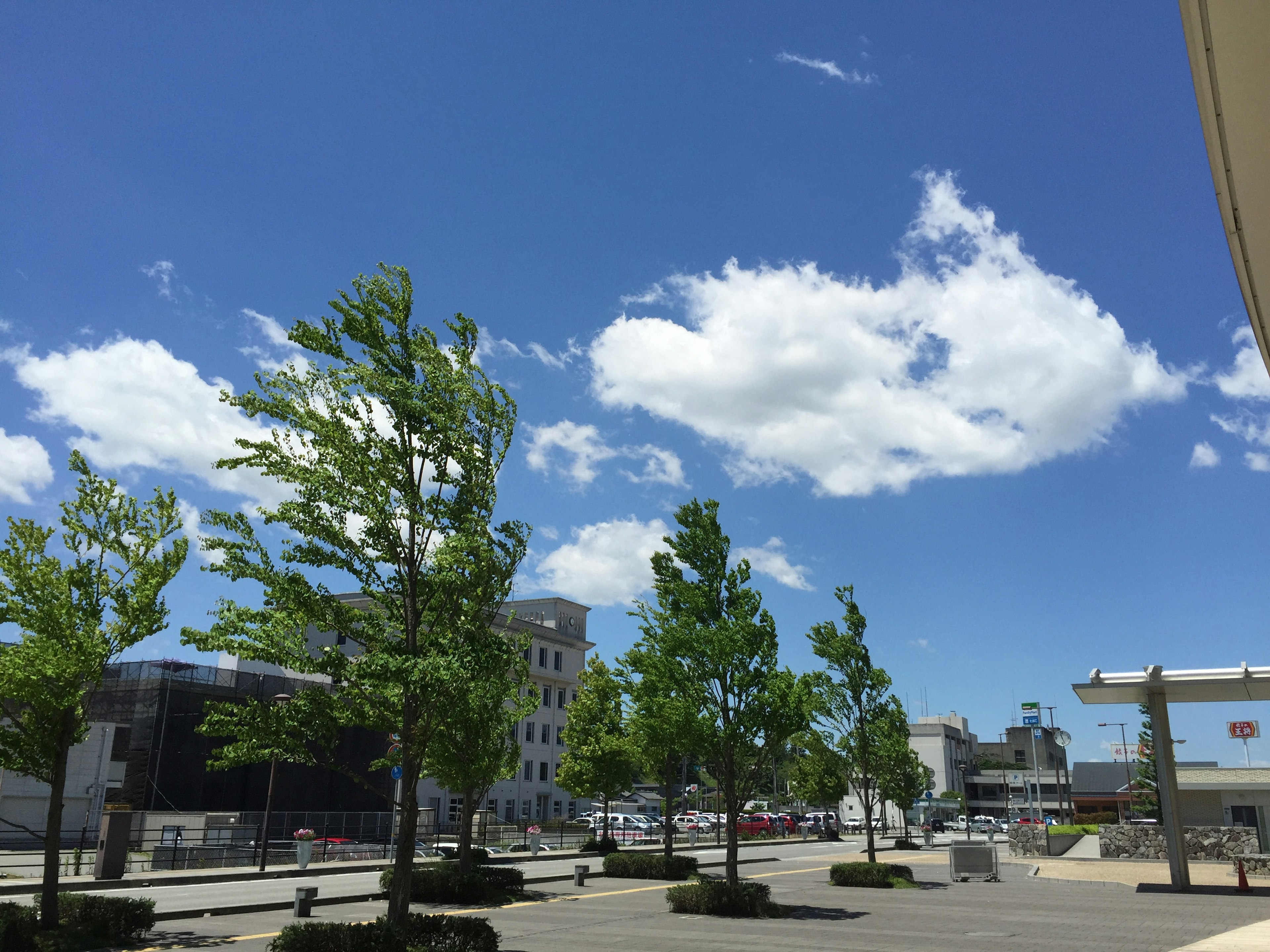 Paesaggio urbano con cielo blu e nuvole bianche alberi verdi e edifici moderni