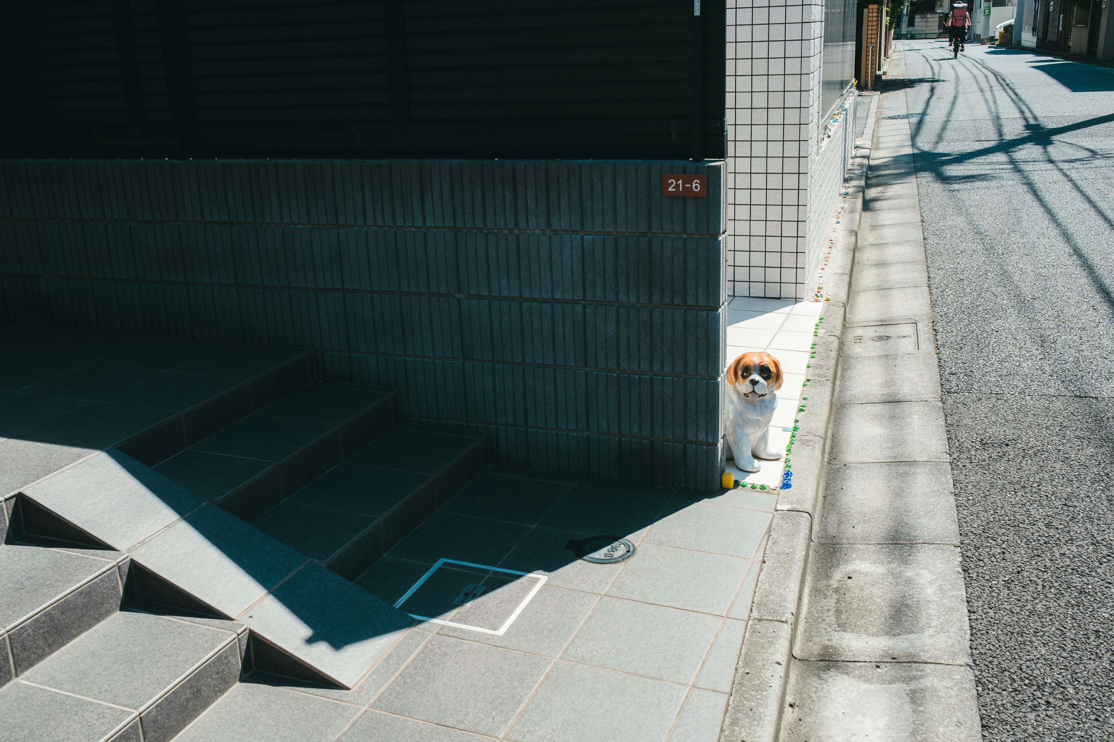 犬が建物の隅に座っている街角の風景