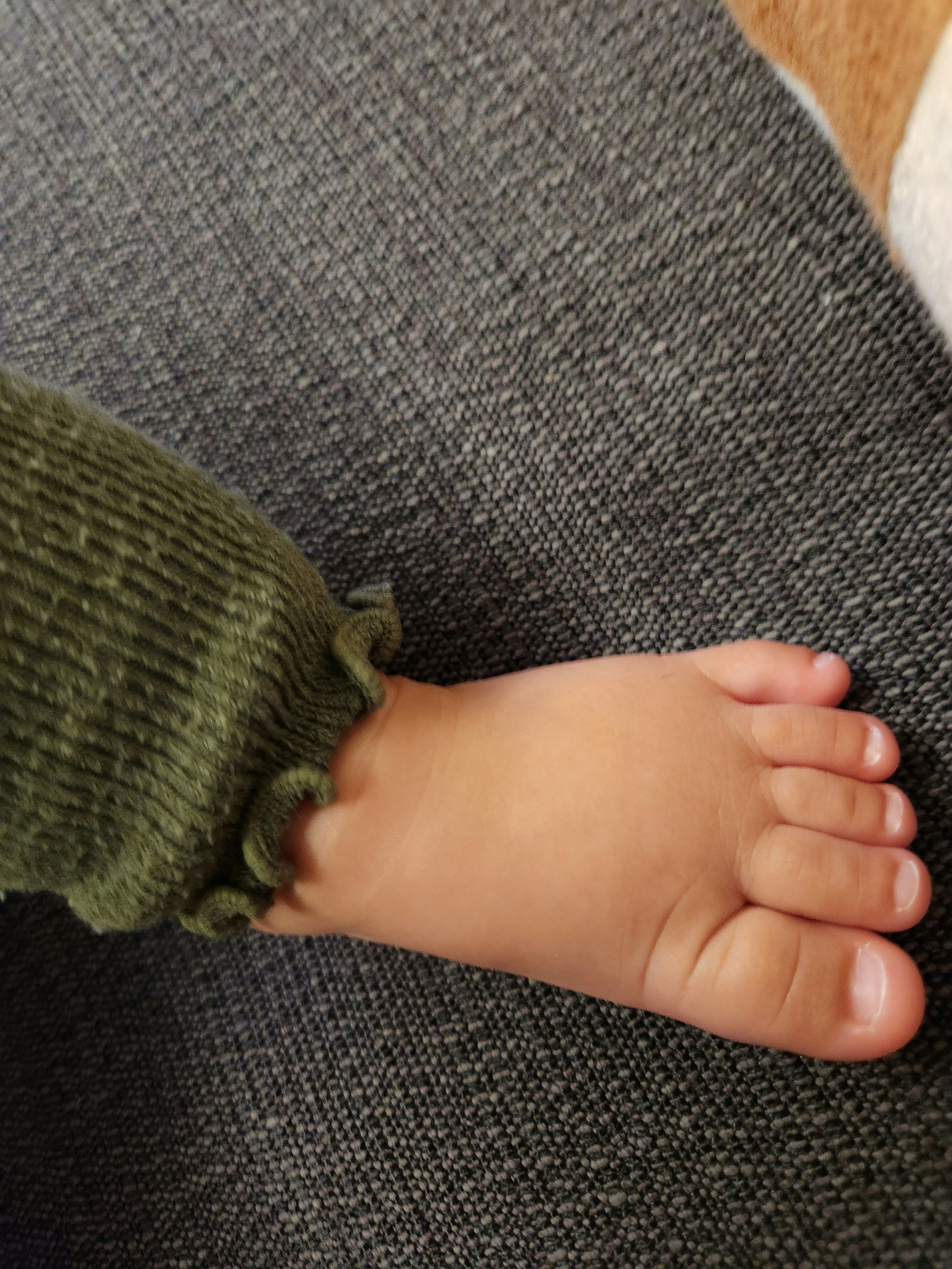 Image featuring a small foot with a green ribbed sock